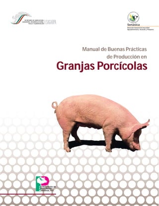 Manual de Buenas Prácticas
de Producción en
Granjas PorcGranjas Porcícolascolas
Confederación de
Porcicultores
Mexicanos, A.C.
 
