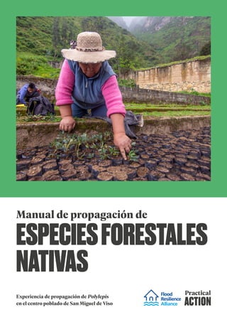 Manual de propagación de
ESPECIESFORESTALES
NATIVAS
Experiencia de propagación de Polylepis
en el centro poblado de San Miguel de Viso
 