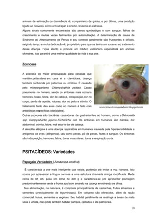 10
animais de estimação ou dominância do companheiro de gaiola, e por último, uma condição
ligada ao cativeiro, como a frustração e o tédio, levando ao estresse.
Alguns sinais comumente encontrados são penas quebradiças e com sangue, falhas de
crescimento e muitas vezes ferimentos por automutilação. A determinação da causa da
Síndrome do Arrancamento de Penas e seu controle geralmente são frustrantes e difíceis,
exigindo tempo e muita dedicação do proprietário para que se tenha um sucesso no tratamento
dessa doença. Fique atento e procure um médico veterinário especialista em animais
silvestres, isto garantirá uma melhor qualidade de vida a sua ave.
Zoonoses
A zoonose de maior preocupação para pessoas que
mantêm psitacídeos em casa é a clamidiose, doença
também conhecida por psitacose ou ornitose. É causada
pelo microorganismo Chlamydiophila psittaci. Causa
pneumonia no homem, sendo os sintomas mais comuns
tremores, tosse, febre, dor de cabeça, indisposição,dor no
corpo, perda de apetite, náusea, dor no peito e vômito. O
tratamento tanto das aves como no homem é feito com
antibióticos específicos (doxiciclina).
Outras zoonoses são bactérias causadoras de gastrenterites no homem, como aSalmonella
spp, Campylobacter jejuni e Escherichia coli. Os sintomas em humanos são diarréia, dor
abdominal, vômito, febre, mal estar e dor de cabeça.
A alveolite alérgica é uma doença respiratória em humanos causada pela hipersensibilidade a
antígenos de aves (alérgenos), tais como penas, pó de penas, fezes e sangue. Os sintomas
são indisposição, tremores, febre, dores musculares, tosse e respiração curta.
PSITACÍDEOS: Variedades
Papagaio Verdadeiro (Amazona aestiva)
É considerada a ave mais inteligente que existe, podendo até imitar a voz humana. Isto
ocorre por apresentar a língua carnosa e uma estrutura chamada siringe modificada. Mede
cerca de 85 cm, pesa em torno de 400 g e caracteriza-se por apresentar plumagem
predominantemente verde e fronte azul com amarelo na cabeça envolvendo os olhos.
Sua alimentação, na natureza, é composta principalmente de castanhas, frutas silvestres e
sementes (principalmente de leguminosas). Em cativeiro são oferecidos, além da ração
comercial, frutos, sementes e vegetais. Seu habitat geralmente se restringe a áreas de mata
seca e úmida, mas pode também habitar campos, cerrados e até palmeirais.
www.trincaferroverdadeiro.blogspot.com
 