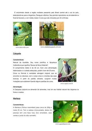 11
É encontrado desde a região nordeste passando pelo Brasil central até o sul do país,
estendendo-se para a Argentina, Paraguai e Bolívia. Seu período reprodutivo vai de setembro a
final de fevereiro, e em média, botam 3 ovos que são chocados por 24 à 29 dias.
Calopsita
Características:
Natural da Austrália. Seu nome científico é Nynphicus
hollandicus que significa 'Deusa da Nova Holanda".
O comprimento médio é de 30 cm. Com uma alimentação
balanceada e o cuidado adequado, podem viver até 25 anos.
Cinza ou Normal é variedade selvagem original, que se
encontra na natureza, com o corpo cinza e a bordas das asas
brancas. A partir do padrão silvestre, surgiram muitas
mutações que acabaram fixando alguns padrões de cores.
Alimentação:
A Calopsita costuma se alimentar de sementes, mas em seu habitat natural não dispensa os
frutos e insetos.
Maritaca
Características:
A Maritaca (Pionus maximiliani) pesa cerca de 260g e
mede 25 cm. Tem a cabeça cinza-azulada, abaixo do
pescoço tem uma faixa roxa, bico amarelado, asas
verdes e ponta do rabo vermelho.
www.aguasdojacui.com
www.ospets.com.br
www.deise.info.com www.cidadedesaopaulo.oxl.com
 
