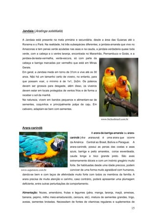 15
Jandaia (Aratinga solstitialis)
A Jandaia está presente na mata primária e secundária, desde a área das Guianas até o
Roraima e o Pará. Na realidade, há três subespécies diferentes; a jandaia-amarela que vive no
Amazonas e tem penas verde azuladas nas asas e na cauda, a jandaia-verdadeira quase toda
verde, com a cabeça e o ventre laranja, encontrada no Maranhão, Pernambuco e Goiás, e a
jandaia-de-testa-vermelha, verde-escura, só com parte da
cabeça e barriga marcadas por vermelho que está em Minas
Gerais.
Em geral, a Jandaia mede em torno de 31cm e vive até os 30
anos. Não há um tamanho certo de viveiro, no entanto, para
que possam voar, o mínimo é de 1x1, 2x2m. Os poleiros
devem ser grossos para desgaste, além disso, os viveiros
devem estar em locais protegidos de ventos frios e de forma a
receber o sol da manhã.
Na natureza, vivem em bandos pequenos e alimentam-se de
sementes, coquinhos e principalmente polpa de caju. Em
cativeiro, adaptam-se bem com sementes.
Arara-canindé
A arara-de-barriga-amarela ou arara-
canindé (Ara ararauna) é uma arara que ocorre
da América Central ao Brasil, Bolívia e Paraguai. A
arara-canindé, possui as penas das costas e asas
azuis, barriga e peito amarelos, coroa esverdeada,
cauda longa e bico grande preto. São aves
extremamente dóceis e com um instinto gregário muito
forte. Se habituadas desde uma idade precoce, podem
conviver de uma forma muito agradável com humanos,
dando-se bem e com laços de afetividade muito forte com todos os membros da família. A
arara precisa de muita atenção e carinho, caso contrário, poderá apresentar uma plumagem
deficiente, entre outras perturbações de comportamento.
Alimentação: Nozes, amendoins, frutas e legumes (pêra, manga, laranja, maçã, ameixas,
banana, pepino, milho meio-amadurecido, cenoura, etc), mistura de sementes grandes, trigo,
aveias, sementes brotadas. Necessitam de fontes de vitaminas regulares e suplementos de
www.aupetstore.com.br
www.bichosbrasil.com.br
 