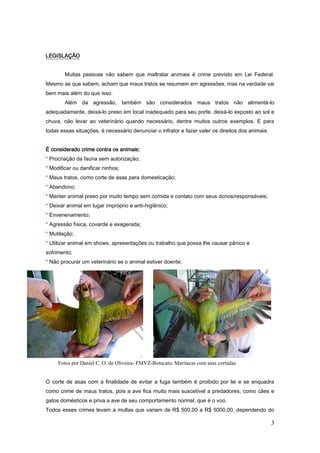 3
LEGISLAÇÃO
Muitas pessoas não sabem que maltratar animais é crime previsto em Lei Federal.
Mesmo as que sabem, acham que maus tratos se resumem em agressões, mas na verdade vai
bem mais além do que isso.
Além da agressão, também são considerados maus tratos não alimentá-lo
adequadamente, deixá-lo preso em local inadequado para seu porte, deixá-lo exposto ao sol e
chuva, não levar ao veterinário quando necessário, dentre muitos outros exemplos. E para
todas essas situações, é necessário denunciar o infrator e fazer valer os direitos dos animais.
É considerado crime contra os animais:
* Procriação da fauna sem autorização;
* Modificar ou danificar ninhos;
* Maus tratos, como corte de asas para domesticação;
* Abandono;
* Manter animal preso por muito tempo sem comida e contato com seus donos/responsáveis;
* Deixar animal em lugar impróprio e anti-higiênico;
* Envenenamento;
* Agressão física, covarde e exagerada;
* Mutilação;
* Utilizar animal em shows, apresentações ou trabalho que possa lhe causar pânico e
sofrimento;
* Não procurar um veterinário se o animal estiver doente;
O corte de asas com a finalidade de evitar a fuga também é proibido por lei e se enquadra
como crime de maus tratos, pois a ave fica muito mais suscetível a predadores, como cães e
gatos domésticos e priva a ave de seu comportamento normal, que é o voo.
Todos esses crimes levam a multas que variam de R$ 500,00 a R$ 5000,00, dependendo do
Fotos por Daniel C. O. de Oliveira- FMVZ-Botucatu. Maritacas com asas cortadas
 