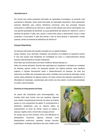 9
Hipovitaminose A
Um animal mal nutrido apresenta diminuição da capacidade imunológica, se tornando mais
susceptível á infecções, tendo ainda diminuição da capacidade reprodutiva. Aves apresentam
sintomas diferentes para mesma deficiência nutricional. Uma das principais doenças
nutricionais é a deficiência de vitamina A, devido ao fato dessas aves serem alimentadas com
uma grande quantidade de sementes, as quais geralmente são pobres em vitamina A, como a
semente de girassol. A pele, bico, penas e unhas ficam secos e descamados, bicos e unhas
compridos e encurvados. A pele das pernas e pés se torna grossos e apresentam crostas
(cascas), sendo os sintomas de deficiência de vitamina A.
Doenças Respiratórias
As doenças infecciosas são aquelas causadas por um agente biológico
(fungo, bactéria, vírus, clamídias, ricketsias), que penetra e se multiplica no organismo animal.
É uma das causas mais freqüentes de mortalidade em aves e o desenvolvimento dessas
doenças está associada ao manejo inadequado.
Outro fator que contribui para uma maior incidência dessas doenças é o
tráfico de animais silvestres. Quando são capturadas por caçadores e mantidas em condições
de estresse, grande número em pequenas gaiolas com higiene precária, esse equilíbrio
orgânico é rompido favorecendo assim o desenvolvimento de doenças. As aves que
sobrevivem ao tráfico são compradas para serem mantidas como animais de estimação, sendo
muitas vezes portadoras de alguma doença. Os sinais clínicos das doenças respiratórias é a
dificuldade de respiração, caracterizado pelo animal com bico aberto, movimentos pendulares
no poleiro, penas eriçadas.
Síndrome do Arrancamento de Penas
As penas são importantes para termorregulação, voo,
funções vitais para manter uma ave saudável. Algumas
aves exibem comportamento anormal, de retirar as próprias
penas ou a do companheiro de gaiola. O comportamento é
facilmente identificável, pois se observa falhas de
empenamento no corpo do animal, menos na cabeça e
pescoço, regiões onde o animal não consegue arracar.
As causas são as mais diversas, como uma deficiência ou
desequilíbrio nutricional, algumas doenças como
desequilíbrios endócrinos, parasitas, manejo incorreto,
superlotação, frustração reprodutiva das aves criadas como www.bichosecia.com.br
 
