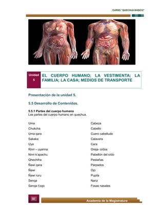 CURSO “QUECHUA BASICO”
32
Academia de la Magistratura
Presentación de la unidad 5.
5.5 Desarrollo de Contenidos.
5.5.1 Partes del cuerpo humano
Las partes del cuerpo humano en quechua.
Uma Cabeza
Chukcha Cabello
Uma qara Cuero cabelludo
Sakaka Calavera
Uya Cara
Rinri – uyarina Oreja- oídos
Ninri k’apachu Pabellón del oído
Qhechifra Pestañas
Ñawi qara Párpados
Ñawi Ojo
Ñawi ruru Pupila
Senqa Nariz
Senqa t’oqo Fosas nasales
Unidad
5
EL CUERPO HUMANO; LA VESTIMENTA; LA
FAMILIA; LA CASA; MEDIOS DE TRANSPORTE
 