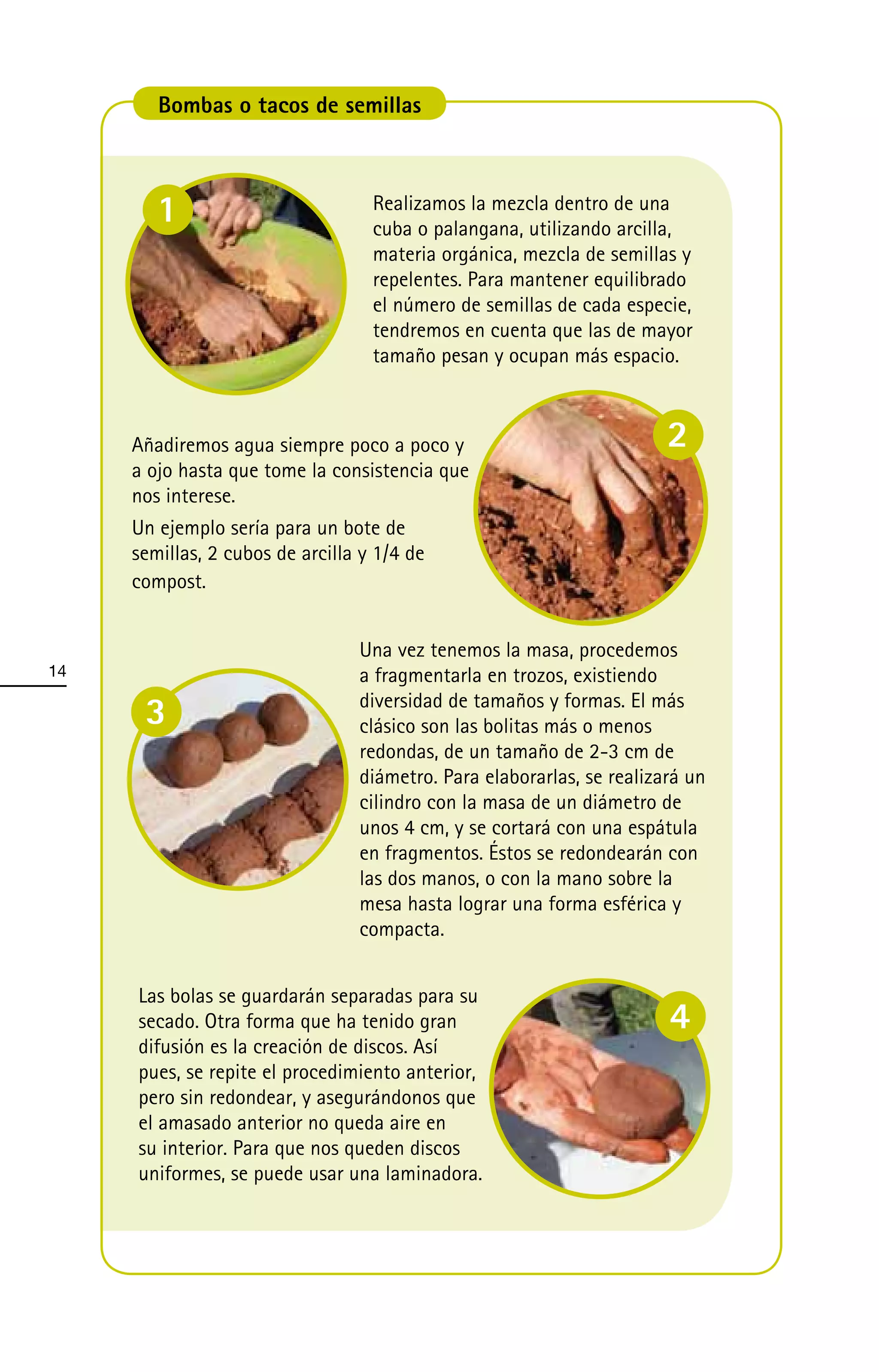 Bombas o tacos de semillas



        1                          Realizamos la mezcla dentro de una
                                   cuba o palangana, utilizando arcilla,
                                   materia orgánica, mezcla de semillas y
                                   repelentes. Para mantener equilibrado
                                   el número de semillas de cada especie,
                                   tendremos en cuenta que las de mayor
                                   tamaño pesan y ocupan más espacio.



     Añadiremos agua siempre poco a poco y                             2
     a ojo hasta que tome la consistencia que
     nos interese.
     Un ejemplo sería para un bote de
     semillas, 2 cubos de arcilla y 1/4 de
     compost.


                                 Una vez tenemos la masa, procedemos
14                               a fragmentarla en trozos, existiendo
      3                          diversidad de tamaños y formas. El más
                                 clásico son las bolitas más o menos
                                 redondas, de un tamaño de 2-3 cm de
                                 diámetro. Para elaborarlas, se realizará un
                                 cilindro con la masa de un diámetro de
                                 unos 4 cm, y se cortará con una espátula
                                 en fragmentos. Éstos se redondearán con
                                 las dos manos, o con la mano sobre la
                                 mesa hasta lograr una forma esférica y
                                 compacta.


     Las bolas se guardarán separadas para su
     secado. Otra forma que ha tenido gran                             4
     difusión es la creación de discos. Así
     pues, se repite el procedimiento anterior,
     pero sin redondear, y asegurándonos que
     el amasado anterior no queda aire en
     su interior. Para que nos queden discos
     uniformes, se puede usar una laminadora.
 