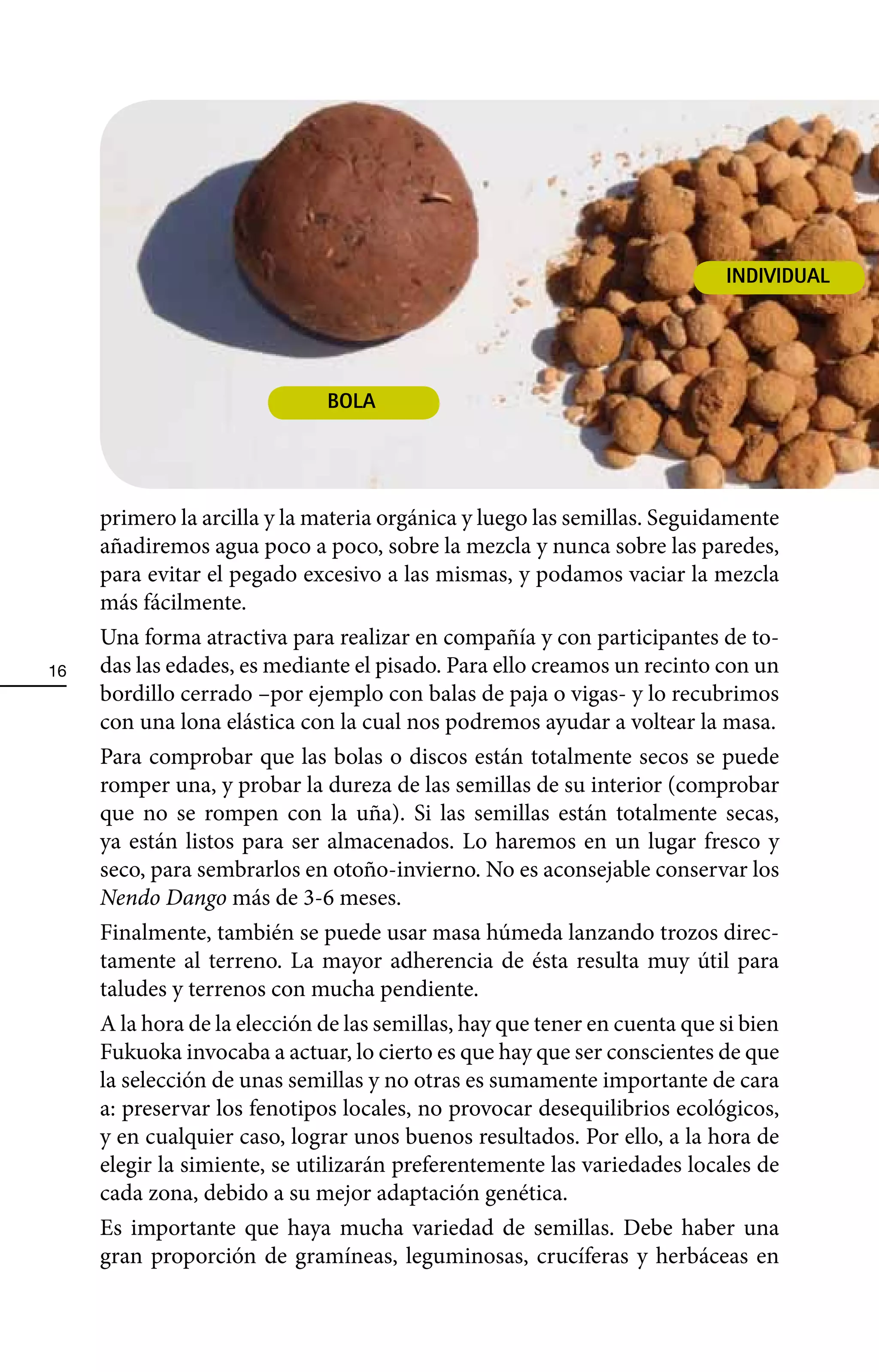 INDIVIDUAL




                              BOLA




     primero la arcilla y la materia orgánica y luego las semillas. Seguidamente
     añadiremos agua poco a poco, sobre la mezcla y nunca sobre las paredes,
     para evitar el pegado excesivo a las mismas, y podamos vaciar la mezcla
     más fácilmente.
     Una forma atractiva para realizar en compañía y con participantes de to-
16   das las edades, es mediante el pisado. Para ello creamos un recinto con un
     bordillo cerrado –por ejemplo con balas de paja o vigas- y lo recubrimos
     con una lona elástica con la cual nos podremos ayudar a voltear la masa.
     Para comprobar que las bolas o discos están totalmente secos se puede
     romper una, y probar la dureza de las semillas de su interior (comprobar
     que no se rompen con la uña). Si las semillas están totalmente secas,
     ya están listos para ser almacenados. Lo haremos en un lugar fresco y
     seco, para sembrarlos en otoño-invierno. No es aconsejable conservar los
     Nendo Dango más de 3-6 meses.
     Finalmente, también se puede usar masa húmeda lanzando trozos direc-
     tamente al terreno. La mayor adherencia de ésta resulta muy útil para
     taludes y terrenos con mucha pendiente.
     A la hora de la elección de las semillas, hay que tener en cuenta que si bien
     Fukuoka invocaba a actuar, lo cierto es que hay que ser conscientes de que
     la selección de unas semillas y no otras es sumamente importante de cara
     a: preservar los fenotipos locales, no provocar desequilibrios ecológicos,
     y en cualquier caso, lograr unos buenos resultados. Por ello, a la hora de
     elegir la simiente, se utilizarán preferentemente las variedades locales de
     cada zona, debido a su mejor adaptación genética.
     Es importante que haya mucha variedad de semillas. Debe haber una
     gran proporción de gramíneas, leguminosas, crucíferas y herbáceas en
 