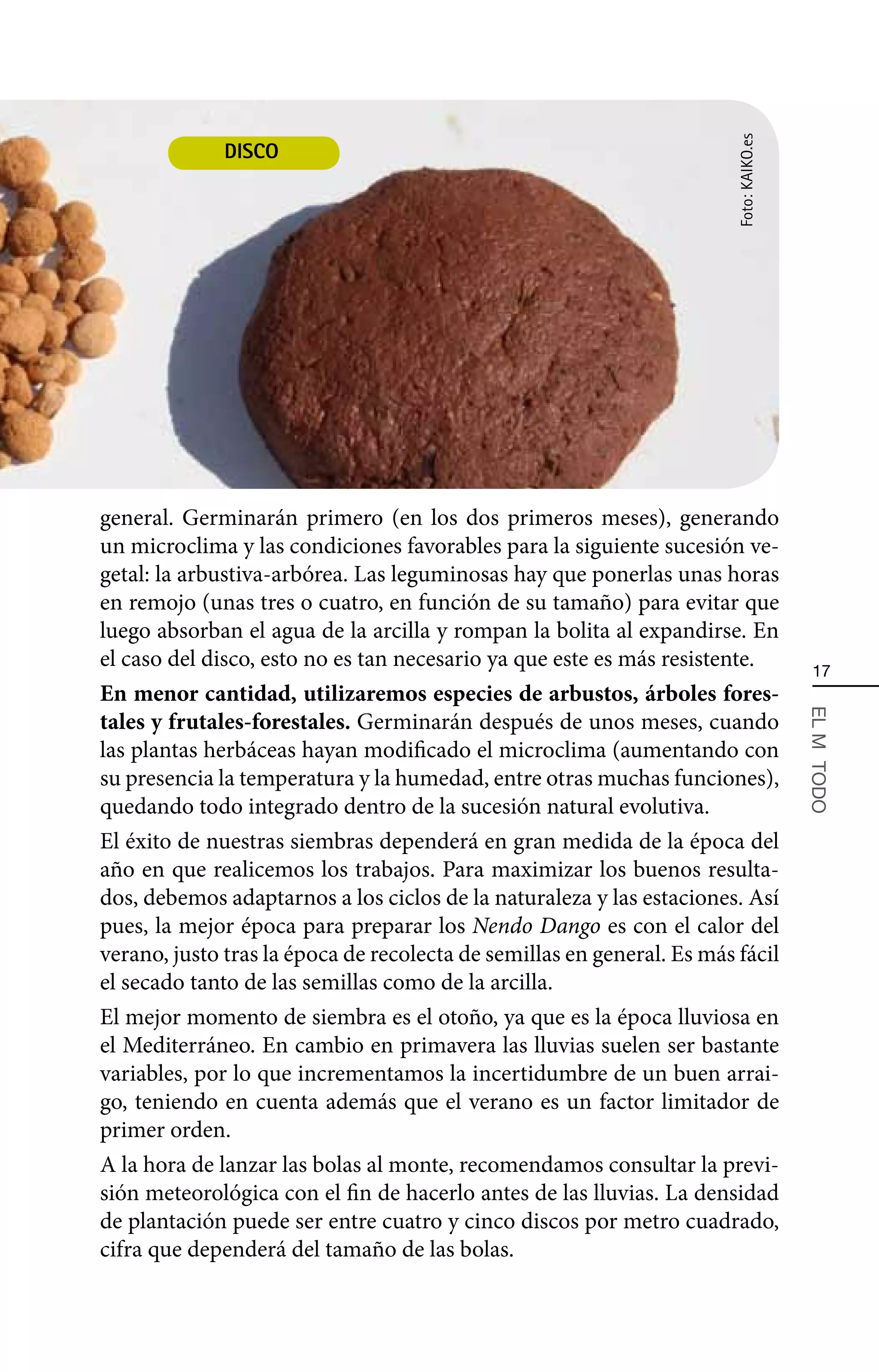 Foto: KAIKO.es
              DISCO




general. Germinarán primero (en los dos primeros meses), generando
un microclima y las condiciones favorables para la siguiente sucesión ve-
getal: la arbustiva-arbórea. Las leguminosas hay que ponerlas unas horas
en remojo (unas tres o cuatro, en función de su tamaño) para evitar que
luego absorban el agua de la arcilla y rompan la bolita al expandirse. En
el caso del disco, esto no es tan necesario ya que este es más resistente.                17
En menor cantidad, utilizaremos especies de arbustos, árboles fores-
tales y frutales-forestales. Germinarán después de unos meses, cuando


                                                                                         EL MÄ TODO
las plantas herbáceas hayan modificado el microclima (aumentando con
su presencia la temperatura y la humedad, entre otras muchas funciones),
quedando todo integrado dentro de la sucesión natural evolutiva.
El éxito de nuestras siembras dependerá en gran medida de la época del
año en que realicemos los trabajos. Para maximizar los buenos resulta-
dos, debemos adaptarnos a los ciclos de la naturaleza y las estaciones. Así
pues, la mejor época para preparar los Nendo Dango es con el calor del
verano, justo tras la época de recolecta de semillas en general. Es más fácil
el secado tanto de las semillas como de la arcilla.
El mejor momento de siembra es el otoño, ya que es la época lluviosa en
el Mediterráneo. En cambio en primavera las lluvias suelen ser bastante
variables, por lo que incrementamos la incertidumbre de un buen arrai-
go, teniendo en cuenta además que el verano es un factor limitador de
primer orden.
A la hora de lanzar las bolas al monte, recomendamos consultar la previ-
sión meteorológica con el fin de hacerlo antes de las lluvias. La densidad
de plantación puede ser entre cuatro y cinco discos por metro cuadrado,
cifra que dependerá del tamaño de las bolas.
 