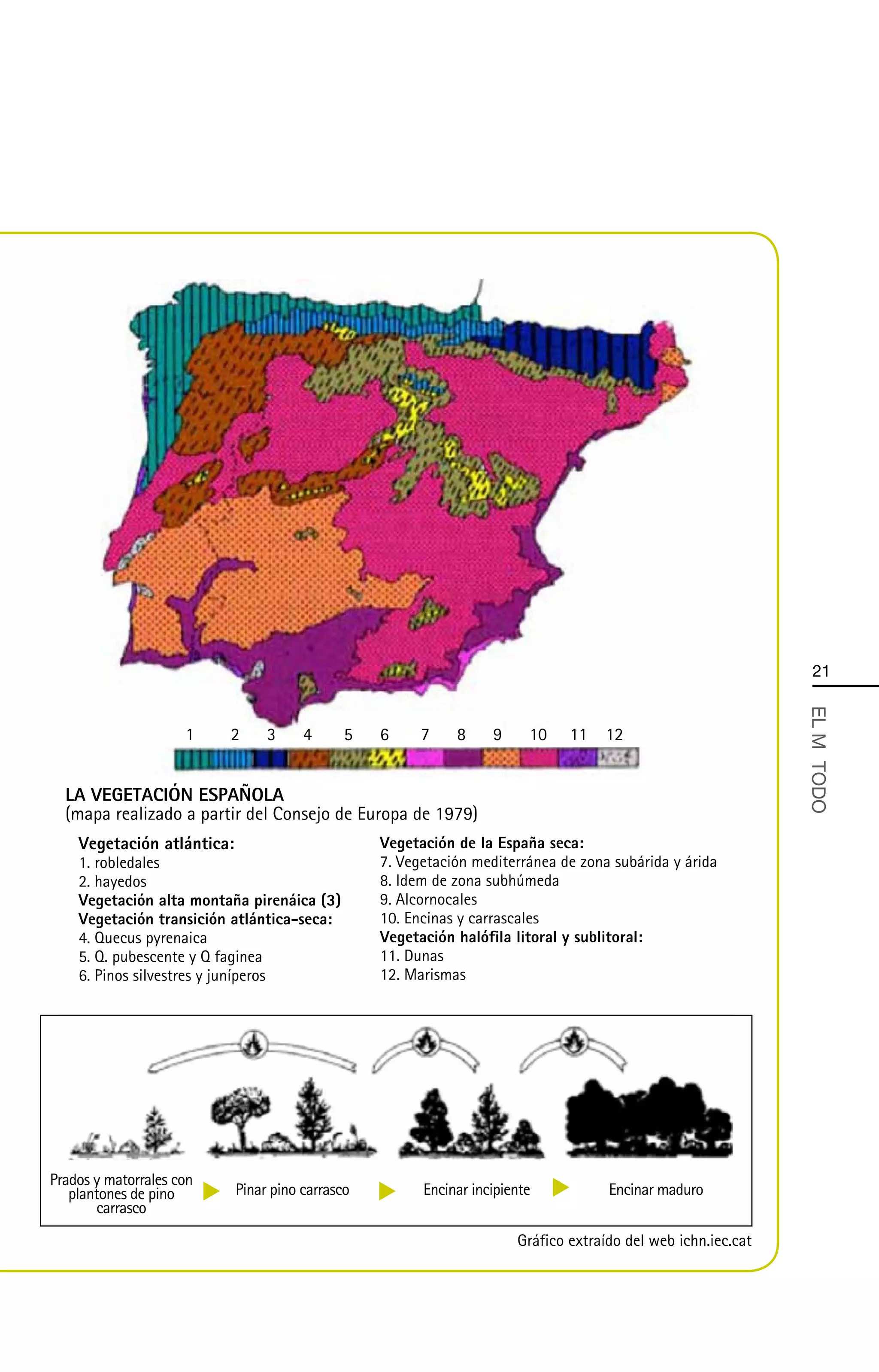 21




                                                                                                               EL MÄ TODO
                     1    2      3     4      5   6     7    8     9     10    11   12


  LA VEGETACIÓN ESPAÑOLA
  (mapa realizado a partir del Consejo de Europa de 1979)
    Vegetación atlántica:                         Vegetación de la España seca:
    1. robledales                                 7. Vegetación mediterránea de zona subárida y árida
    2. hayedos                                    8. Idem de zona subhúmeda
    Vegetación alta montaña pirenáica (3)         9. Alcornocales
    Vegetación transición atlántica-seca:         10. Encinas y carrascales
    4. Quecus pyrenaica                           Vegetación halófila litoral y sublitoral:
    5. Q. pubescente y Q faginea                  11. Dunas
    6. Pinos silvestres y juníperos               12. Marismas




Prados y matorrales con
   plantones de pino        Pinar pino carrasco         Encinar incipiente           Encinar maduro
       carrasco
                                                                       Gráfico extraído del web ichn.iec.cat
 