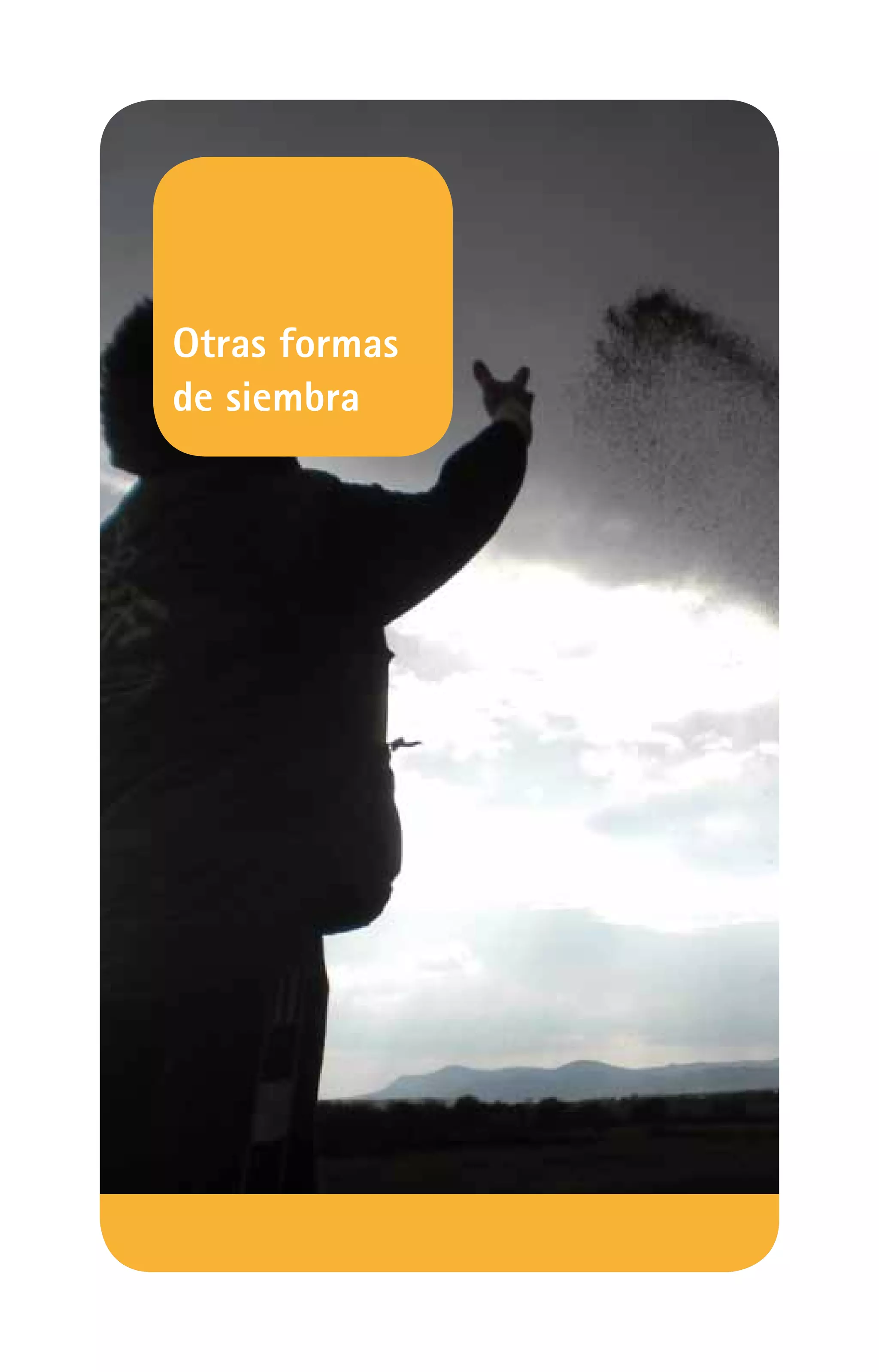 Otras formas
de siembra
 