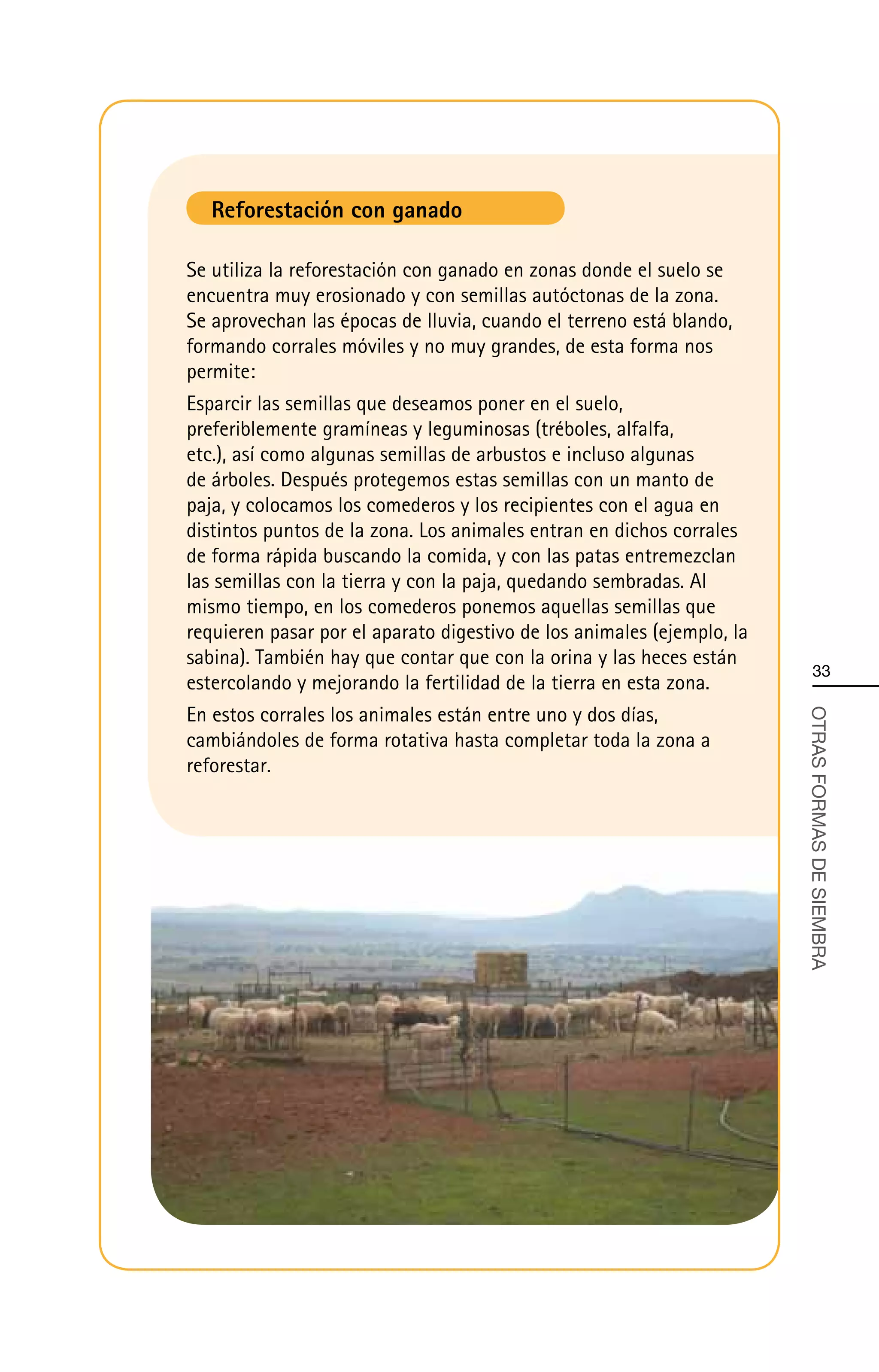 Reforestación con ganado

Se utiliza la reforestación con ganado en zonas donde el suelo se
encuentra muy erosionado y con semillas autóctonas de la zona.
Se aprovechan las épocas de lluvia, cuando el terreno está blando,
formando corrales móviles y no muy grandes, de esta forma nos
permite:
Esparcir las semillas que deseamos poner en el suelo,
preferiblemente gramíneas y leguminosas (tréboles, alfalfa,
etc.), así como algunas semillas de arbustos e incluso algunas
de árboles. Después protegemos estas semillas con un manto de
paja, y colocamos los comederos y los recipientes con el agua en
distintos puntos de la zona. Los animales entran en dichos corrales
de forma rápida buscando la comida, y con las patas entremezclan
las semillas con la tierra y con la paja, quedando sembradas. Al
mismo tiempo, en los comederos ponemos aquellas semillas que
requieren pasar por el aparato digestivo de los animales (ejemplo, la
sabina). También hay que contar que con la orina y las heces están
                                                                            33
estercolando y mejorando la fertilidad de la tierra en esta zona.
En estos corrales los animales están entre uno y dos días,



                                                                        OTRAS FORMAS DE SIEMBRA
cambiándoles de forma rotativa hasta completar toda la zona a
reforestar.
 