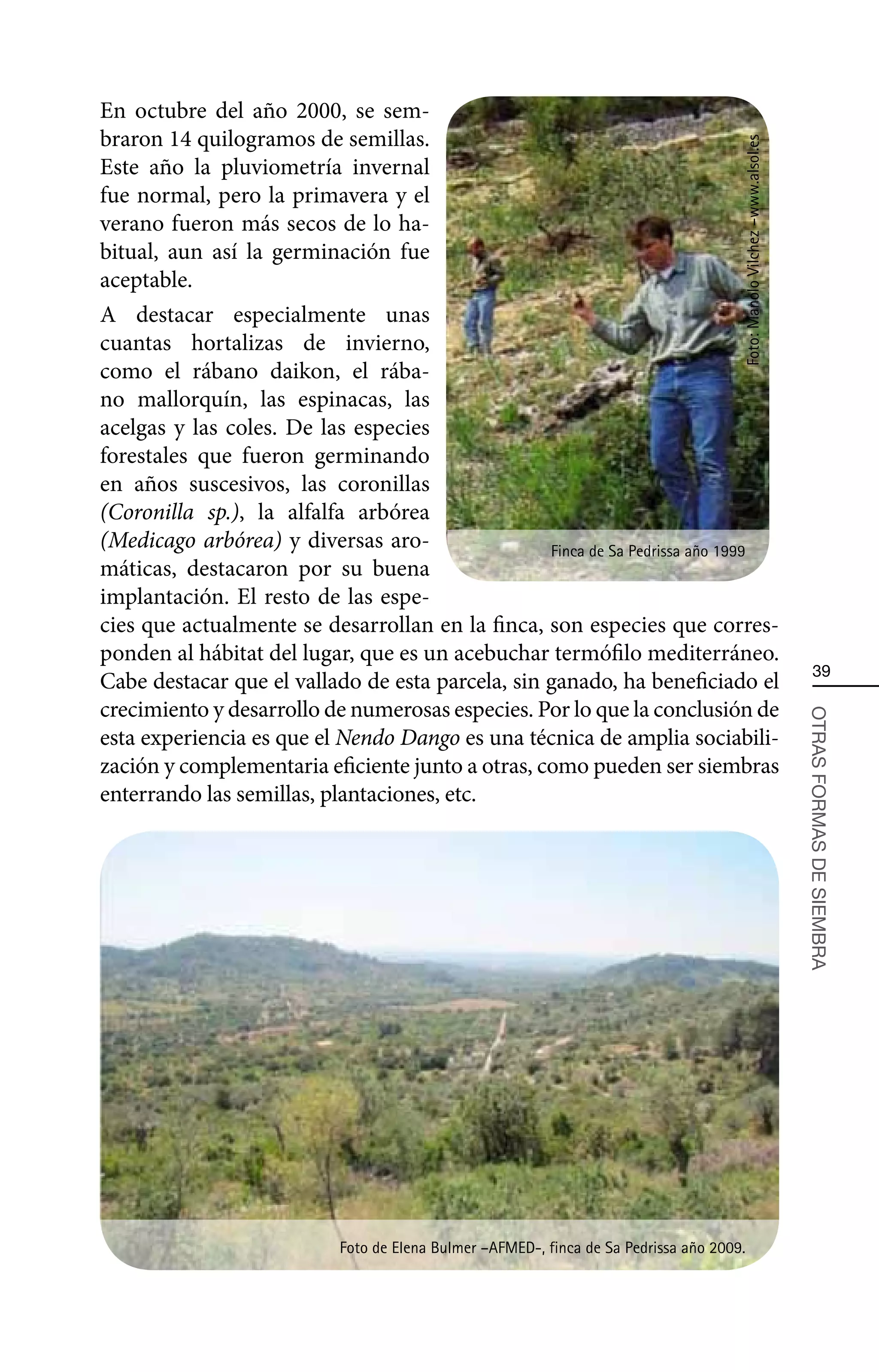 En octubre del año 2000, se sem-
braron 14 quilogramos de semillas.




                                                                                      Foto: Manolo Vilchez –www.alsol.es
Este año la pluviometría invernal
fue normal, pero la primavera y el
verano fueron más secos de lo ha-
bitual, aun así la germinación fue
aceptable.
A destacar especialmente unas
cuantas hortalizas de invierno,
como el rábano daikon, el rába-
no mallorquín, las espinacas, las
acelgas y las coles. De las especies
forestales que fueron germinando
en años suscesivos, las coronillas
(Coronilla sp.), la alfalfa arbórea
(Medicago arbórea) y diversas aro-                Finca de Sa Pedrissa año 1999
máticas, destacaron por su buena
implantación. El resto de las espe-
cies que actualmente se desarrollan en la finca, son especies que corres-
ponden al hábitat del lugar, que es un acebuchar termófilo mediterráneo.
                                                                                                                               39
Cabe destacar que el vallado de esta parcela, sin ganado, ha beneficiado el
crecimiento y desarrollo de numerosas especies. Por lo que la conclusión de



                                                                                                                           OTRAS FORMAS DE SIEMBRA
esta experiencia es que el Nendo Dango es una técnica de amplia sociabili-
zación y complementaria eficiente junto a otras, como pueden ser siembras
enterrando las semillas, plantaciones, etc.




                           Foto de Elena Bulmer –AFMED-, finca de Sa Pedrissa año 2009.
 