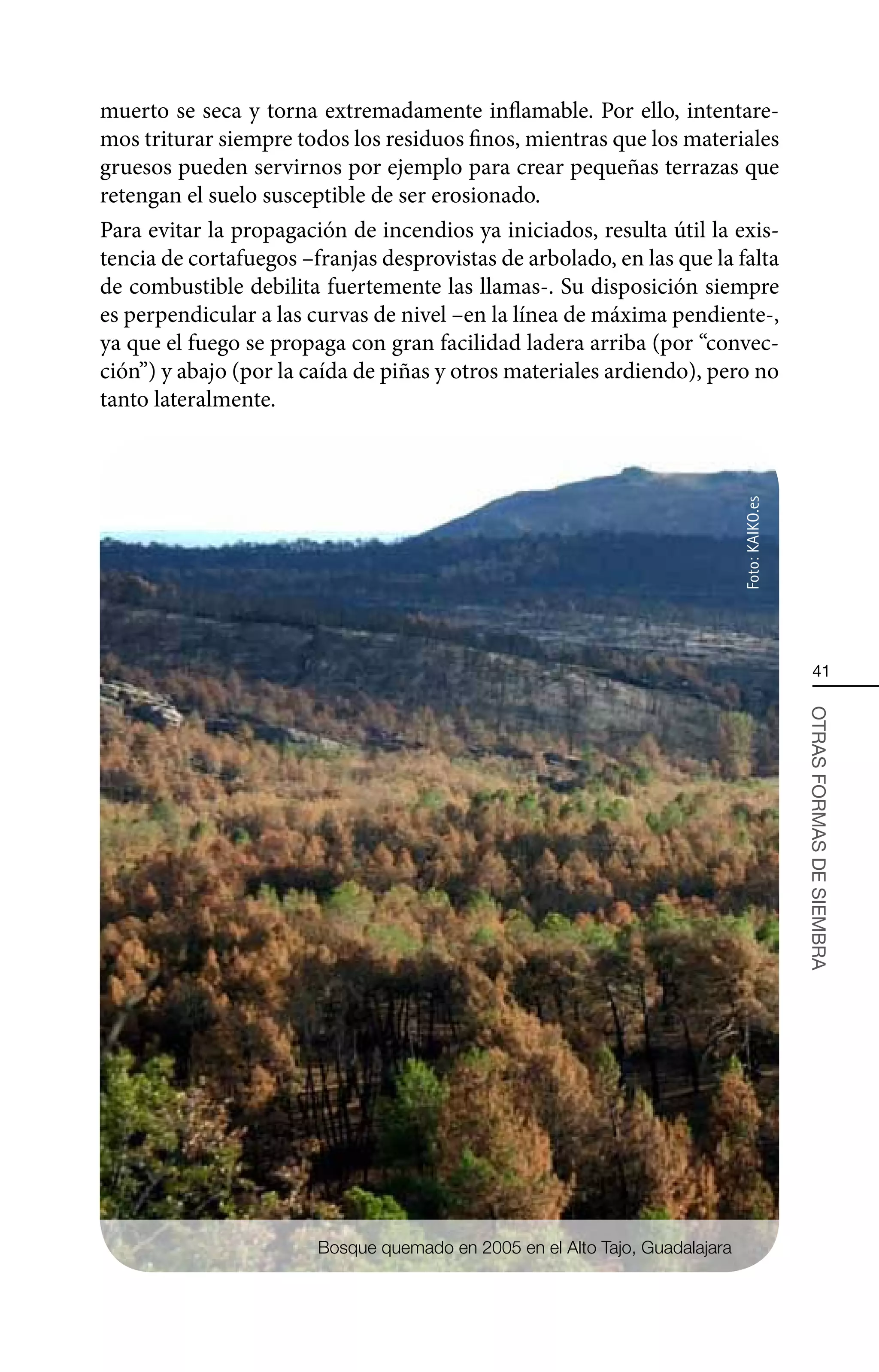 muerto se seca y torna extremadamente inflamable. Por ello, intentare-
mos triturar siempre todos los residuos finos, mientras que los materiales
gruesos pueden servirnos por ejemplo para crear pequeñas terrazas que
retengan el suelo susceptible de ser erosionado.
Para evitar la propagación de incendios ya iniciados, resulta útil la exis-
tencia de cortafuegos –franjas desprovistas de arbolado, en las que la falta
de combustible debilita fuertemente las llamas-. Su disposición siempre
es perpendicular a las curvas de nivel –en la línea de máxima pendiente-,
ya que el fuego se propaga con gran facilidad ladera arriba (por “convec-
ción”) y abajo (por la caída de piñas y otros materiales ardiendo), pero no
tanto lateralmente.




                                                                              Foto: KAIKO.es
                                                                                                   41




                                                                                               OTRAS FORMAS DE SIEMBRA




                        Bosque quemado en 2005 en el Alto Tajo, Guadalajara
 