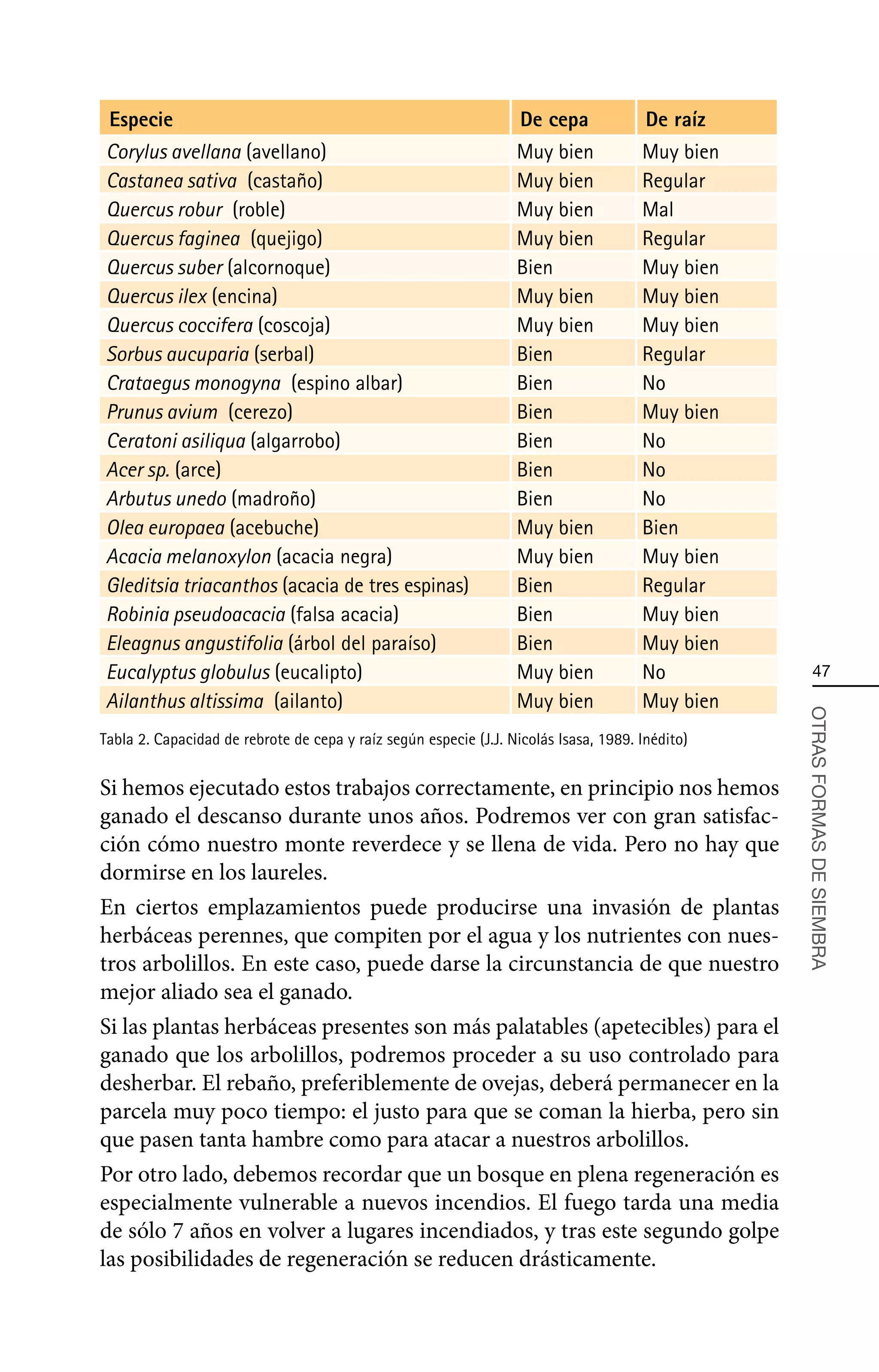 Especie                                                           De cepa             De raíz
Corylus avellana (avellano)                                       Muy bien            Muy bien
Castanea sativa (castaño)                                         Muy bien            Regular
Quercus robur (roble)                                             Muy bien            Mal
Quercus faginea (quejigo)                                         Muy bien            Regular
Quercus suber (alcornoque)                                        Bien                Muy bien
Quercus ilex (encina)                                             Muy bien            Muy bien
Quercus coccifera (coscoja)                                       Muy bien            Muy bien
Sorbus aucuparia (serbal)                                         Bien                Regular
Crataegus monogyna (espino albar)                                 Bien                No
Prunus avium (cerezo)                                             Bien                Muy bien
Ceratoni asiliqua (algarrobo)                                     Bien                No
Acer sp. (arce)                                                   Bien                No
Arbutus unedo (madroño)                                           Bien                No
Olea europaea (acebuche)                                          Muy bien            Bien
Acacia melanoxylon (acacia negra)                                 Muy bien            Muy bien
Gleditsia triacanthos (acacia de tres espinas)                    Bien                Regular
Robinia pseudoacacia (falsa acacia)                               Bien                Muy bien
Eleagnus angustifolia (árbol del paraíso)                         Bien                Muy bien
Eucalyptus globulus (eucalipto)                                   Muy bien            No             47
Ailanthus altissima (ailanto)                                     Muy bien            Muy bien



                                                                                                 OTRAS FORMAS DE SIEMBRA
Tabla 2. Capacidad de rebrote de cepa y raíz según especie (J.J. Nicolás Isasa, 1989. Inédito)


Si hemos ejecutado estos trabajos correctamente, en principio nos hemos
ganado el descanso durante unos años. Podremos ver con gran satisfac-
ción cómo nuestro monte reverdece y se llena de vida. Pero no hay que
dormirse en los laureles.
En ciertos emplazamientos puede producirse una invasión de plantas
herbáceas perennes, que compiten por el agua y los nutrientes con nues-
tros arbolillos. En este caso, puede darse la circunstancia de que nuestro
mejor aliado sea el ganado.
Si las plantas herbáceas presentes son más palatables (apetecibles) para el
ganado que los arbolillos, podremos proceder a su uso controlado para
desherbar. El rebaño, preferiblemente de ovejas, deberá permanecer en la
parcela muy poco tiempo: el justo para que se coman la hierba, pero sin
que pasen tanta hambre como para atacar a nuestros arbolillos.
Por otro lado, debemos recordar que un bosque en plena regeneración es
especialmente vulnerable a nuevos incendios. El fuego tarda una media
de sólo 7 años en volver a lugares incendiados, y tras este segundo golpe
las posibilidades de regeneración se reducen drásticamente.
 