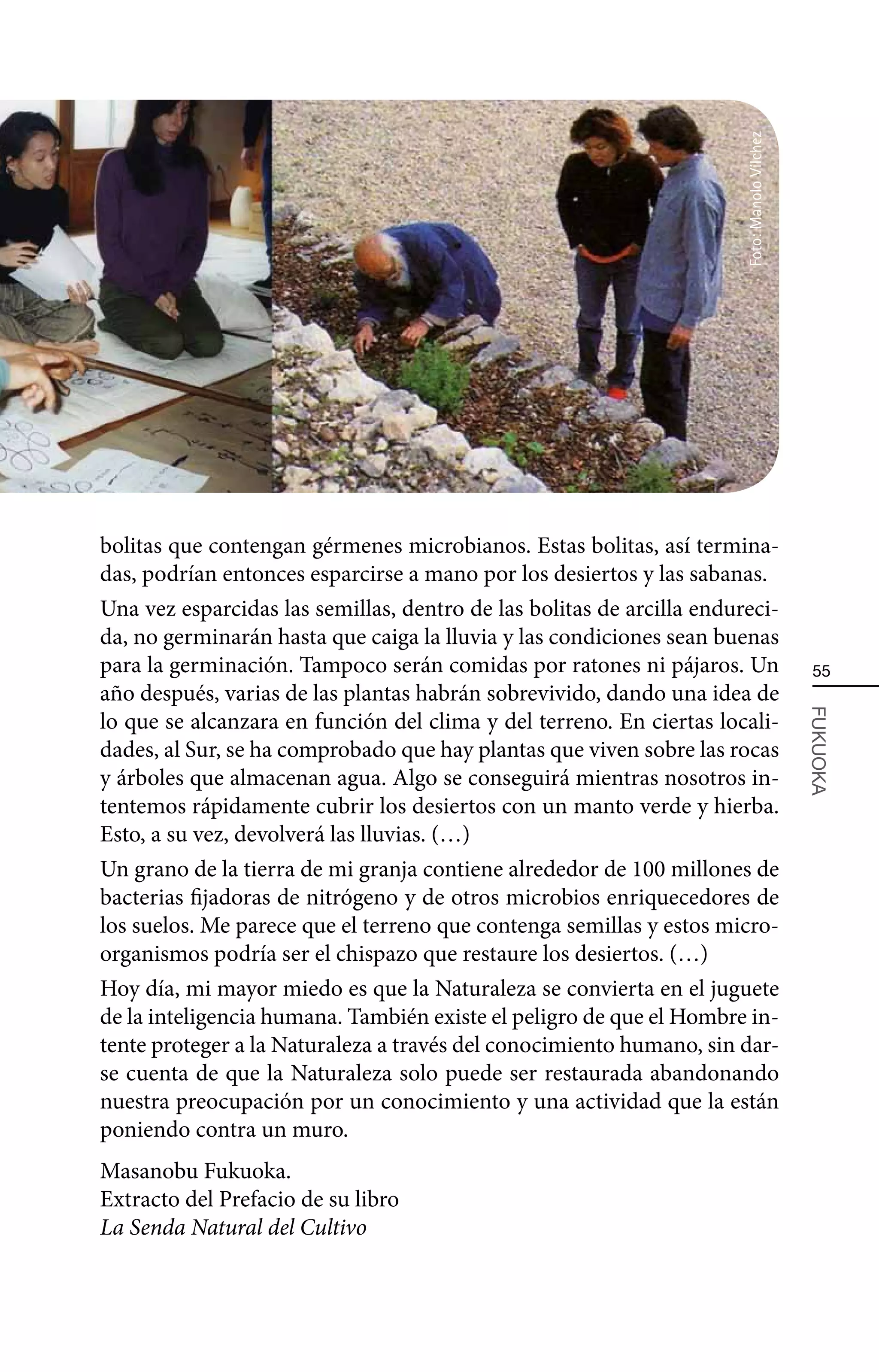 Foto: Manolo Vílchez
bolitas que contengan gérmenes microbianos. Estas bolitas, así termina-
das, podrían entonces esparcirse a mano por los desiertos y las sabanas.
Una vez esparcidas las semillas, dentro de las bolitas de arcilla endureci-
da, no germinarán hasta que caiga la lluvia y las condiciones sean buenas
para la germinación. Tampoco serán comidas por ratones ni pájaros. Un                          55
año después, varias de las plantas habrán sobrevivido, dando una idea de
lo que se alcanzara en función del clima y del terreno. En ciertas locali-


                                                                                              FUKUOKA
dades, al Sur, se ha comprobado que hay plantas que viven sobre las rocas
y árboles que almacenan agua. Algo se conseguirá mientras nosotros in-
tentemos rápidamente cubrir los desiertos con un manto verde y hierba.
Esto, a su vez, devolverá las lluvias. (…)
Un grano de la tierra de mi granja contiene alrededor de 100 millones de
bacterias fijadoras de nitrógeno y de otros microbios enriquecedores de
los suelos. Me parece que el terreno que contenga semillas y estos micro-
organismos podría ser el chispazo que restaure los desiertos. (…)
Hoy día, mi mayor miedo es que la Naturaleza se convierta en el juguete
de la inteligencia humana. También existe el peligro de que el Hombre in-
tente proteger a la Naturaleza a través del conocimiento humano, sin dar-
se cuenta de que la Naturaleza solo puede ser restaurada abandonando
nuestra preocupación por un conocimiento y una actividad que la están
poniendo contra un muro.
Masanobu Fukuoka.
Extracto del Prefacio de su libro
La Senda Natural del Cultivo
 