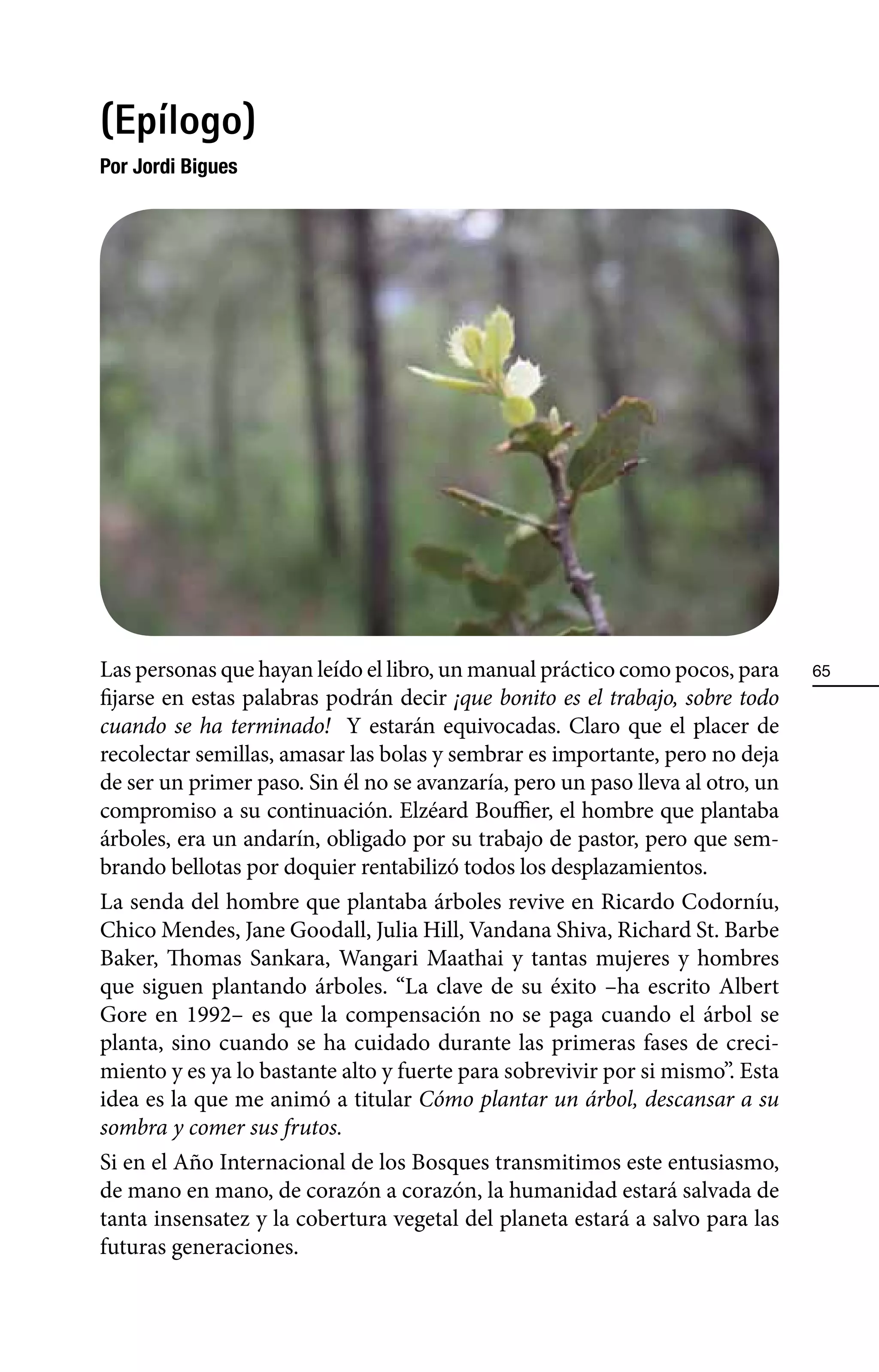 (Epílogo)
Por Jordi Bigues




Las personas que hayan leído el libro, un manual práctico como pocos, para      65
fijarse en estas palabras podrán decir ¡que bonito es el trabajo, sobre todo
cuando se ha terminado! Y estarán equivocadas. Claro que el placer de
recolectar semillas, amasar las bolas y sembrar es importante, pero no deja
de ser un primer paso. Sin él no se avanzaría, pero un paso lleva al otro, un
compromiso a su continuación. Elzéard Bouffier, el hombre que plantaba
árboles, era un andarín, obligado por su trabajo de pastor, pero que sem-
brando bellotas por doquier rentabilizó todos los desplazamientos.
La senda del hombre que plantaba árboles revive en Ricardo Codorníu,
Chico Mendes, Jane Goodall, Julia Hill, Vandana Shiva, Richard St. Barbe
Baker, Thomas Sankara, Wangari Maathai y tantas mujeres y hombres
que siguen plantando árboles. “La clave de su éxito –ha escrito Albert
Gore en 1992– es que la compensación no se paga cuando el árbol se
planta, sino cuando se ha cuidado durante las primeras fases de creci-
miento y es ya lo bastante alto y fuerte para sobrevivir por si mismo”. Esta
idea es la que me animó a titular Cómo plantar un árbol, descansar a su
sombra y comer sus frutos.
Si en el Año Internacional de los Bosques transmitimos este entusiasmo,
de mano en mano, de corazón a corazón, la humanidad estará salvada de
tanta insensatez y la cobertura vegetal del planeta estará a salvo para las
futuras generaciones.
 