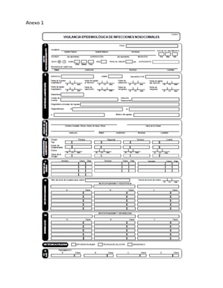 Anexo 1
 