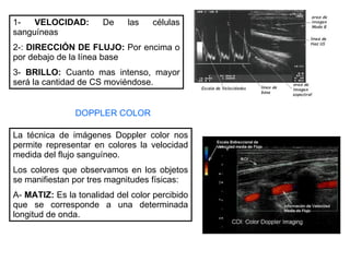 1-  VELOCIDAD:  De las células sanguíneas 2-:  DIRECCIÓN DE FLUJO:  Por encima o por debajo de la línea base 3-  BRILLO:  Cuanto mas intenso, mayor será la cantidad de CS moviéndose. DOPPLER COLOR La técnica de imágenes Doppler color nos permite representar en colores la velocidad medida del flujo sanguíneo. Los colores que observamos en los objetos se manifiestan por tres magnitudes físicas: A-  MATIZ:  Es la tonalidad del color percibido que se corresponde a una determinada longitud de onda. 