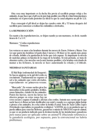 Saberes Tradicionales
- 4 -
Otra cosa muy importante es la ducha fría previa al sacrificio porque relaja a los
animales, lo que hace que el pH sea lo más bajo posible con el fin de evitar fermentaciones
anómalas en el procesado posterior (Lo ideal es que la canal adquiera un pH de 5,5).
Para conseguir el pH ideal se dejan las canales entre 48 y 72 horas después del
sacrificio para comenzar a realizar los embutidos o derivados.
LA REPRODUCCIÓN
En cuanto a los reproductores/as, se dejan cuando ya son marranos, es decir, cuando
tienen de 2 a 5 @.
Marranos: * Cerdas reproductoras
* Verracos
Los verracos se unen a las hembras durante los meses de Enero, Febrero y Marzo. Una
vez que paren las hembras (el parto dura 3 meses y 20 días) se les aporta más grano
de cebada, debido a la aportación de leche que ésta supone. Es importante la mezcla
de materias primas en función de la etapa de la hembra. Si está preñada, se trata de
abaratar costes y las mezclas son la más baratas posibles; si la hembra está dando de
mamar a los lechones, la mezcla se hace aumentando la cebada y el triticale.
MEDIDAS SANITARIAS
El Mal Rojo (enfermedad del boquete).
Se hacen agujeros en la piel del cerdo en
crecimiento. Fundamental no exponer al
sol a los animales que estén afectados,
especialmente en primavera-verano.
“Moscarda”. En verano suelen picar las
moscardas en las partes genitales, heridas,
zonas húmedas, córtales de los animales.
Ponen los huevos, nacen las larvas (se
observa porque en estas zonas hay un
cerco oscuro y supura el animal) y afectan a los cerdos. Antonio nos cuenta que lo que
suele hacer es llenar un bote dosificador con zotal y cuando va a agregar algún forraje
o pienso a los animales, les echa sobre la herida el zotal. Nota de Juan Carlos López
(Veterinario especialista en ganadería ecológica): “el ZOTAL no es un producto que se
pueda utilizar para curar las bicheras, gusaneras o miasis de NINGUNA especie animal,
ya que es un producto indicado para la desinsectación de las instalaciones ganaderas
pero nunca para ser aplicado sobre un animal"Ê (Haciendo referencia a
la ganadería ecológica, por supuesto, para la convencional no habría
problemas).
 