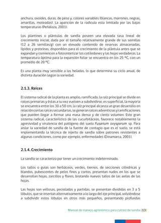 Manual de manejo agronómico para cultivo de sandía [13]
anchura, ovoides, duras, de peso y, colores variables (blancas, marrones, negras,
amarillas, moteadas). La aparición de la radícula esta limitada por las bajas
temperaturas (Peñaloza, 2001).
Los plantines o plántulas de sandía poseen una elevada tasa lineal de
crecimiento inicial, dada por el tamaño relativamente grande de sus semillas
(12 a 26 semillas/g) con un elevado contenido de reservas almacenadas,
lípidos y proteínas, disponibles para el crecimiento de la plántula antes que se
expandan y comiencen a fotosintetizar los cotiledones y las hojas verdaderas. La
temparatura óptima para la expansión foliar se encuentra en los 25 ºC, con un
promedio de 20 ºC.
Es una planta muy sensible a las heladas, lo que determina su ciclo anual, de
distinta duración según la variedad.
2.1.3. Raíces
El sistema radical de la planta es amplio, ramificado, la raíz principal se divide en
raíces primarias y éstas a su vez vuelven a subdividirse, es superficial, la mayoría
se encuentra entre los 30 a 50 cm, la raíz principal alcanza un gran desarrollo en
relaciónconlasraícessecundarias,segeneranraícesadventiciasyramificaciones
que pueden llegar a formar una masa densa y de cierto volumen. Este gran
sistema radical, característico de las cucurbitáceas, favorece notablemente la
agresividad y virulencia del patógeno del suelo Fusarium oxysporum sp. Para
aislar la variedad de sandía de la fuente de contagio que es el suelo, se está
implementando la técnica de injerto de sandía sobre patrones resistentes a
algunas condiciones, como por ejemplo, enfermedades (Dinamarca, 2001).
2.1.4. Crecimiento
La sandía se caracteriza por tener un crecimiento indeterminado.
Los tallos o guías son herbáceos, verdes, tiernos, de secciones cilíndricas y
blandos, pubescentes de pelos finos y cortos, presentan nudos en los que se
desarrollan hojas, zarcillos y flores, brotando nuevos tallos de las axilas de las
hojas.
Las hojas son vellosas, pecioladas y partidas, se presentan divididas en 3 a 5
lóbulos, que se insertan alternativamente a lo largo del eje principal, volviéndose
a subdividir estos lóbulos en otros más pequeños, presentando profundas
 
