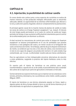 Manual de manejo agronómico para cultivo de sandía [25]
CAPÍTULO IV
4.1. Injertación, la posibilidad de cultivar sandía
En zonas donde este cultivo junto a otras especies de cucúrbitas se realiza de
manera intensiva, se han producido múltiples dificultades para su desarrollo
adecuado, debido a la agresividad de las distintas enfermedades que afectan a
la raíz y cuello de la planta, llegando a destruir completamente las plantaciones.
El principal agente causal de la muerte masiva de plantas de sandía en todas
las zonas de cultivo es el hongo Fusarium oxysporum f. sp. niveum. El inóculo
de este hongo puede permanecer en el suelo sin cultivo de sandía por largos
períodos de tiempo, lo que aumenta la dificultad de tratamientos para el control
de la enfermedad junto con disminuir su eficacia.
A nivel nacional los mecanismos de control para evitar el ataque de Fusarium
oxysporum se basaron principalmente en el uso de variedades que poseían
resistencia a este patógeno del suelo y en menor escala en la fumigación del
sueloconbromurodemetilo. Sinembargo,ademásdeyanodisponerdebromuro
de metilo, se evidenció que tras dos o tres años de cultivo, esta resistencia por
sí sola no era capaz de asegurar una producción normal si el suelo estaba muy
contaminado, por lo cual, su efectividad resultó cada vez menos satisfactoria.
Para los agricultores se hizo indispensable encontrar alternativas de solución
a estos problemas, surgiendo la práctica del injerto herbáceo como la más
efectiva.
En nuestro país el injerto de hortalizas es una práctica poco usual,
transformándose, o apunto de ser, el de sandía, el procedimiento tipo o estándar
del cultivo de la especie por parte de agricultores orientados al mercado.
Comercialmente las especies hortícolas que se injertan son las solanáceas como
tomate, pimiento y berenjena y las cucurbitáceas como melón, sandía y pepino
(Miguel, 1997).
El injerto de hortalizas es una técnica altamente popular en Corea, Japón y
algunos países de Asia y Europa donde la tierra se usa de forma intensiva y/o el
área destinada a la agricultura es pequeña (Lee, 1994).
 