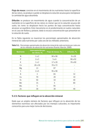 Manual de manejo agronómico para cultivo de sandía [37]
Tabla 5.1. Porcentajes aproximados de absorción mineral de cada nutriente por cada uno
de los métodos de absorción de nutrientes (Fuente: Alarcón, 2000).
Nutriente Flujo de masas, %. Difusión, %.
N 1 a 2 80 a 98 0 a 20
P 2 a 3 5 a 6 90 a 92
K 1 a 2 17 a 20 78 a 80
Ca 28 a 30 70 a 72 -
Mg 13 87 -
S 2 a 5 95 a 98 -
B 3 65 32
Cu 70 20 10
Fe 50 10 40
Mn 15 5 80
Mo 5 95 -
Zn 30 30 40
Interceptación por
las raíces, %.
Flujo de masas: consiste en el movimiento de los nutrientes hasta la superficie
de las raíces, se produce cuando se desplaza la solución acuosa para reemplazar
la cantidad de agua absorbida.
Difusión: se produce sin movimiento de agua cuando la concentración de un
nutriente en la superficie de las raíces es menor que en la solución acuosa del
suelo, los iones se desplazan hacia los puntos de baja concentración hasta
alcanzar un equilibrio. Este mecanismo es el predominante en suelos naturales
en el caso de fósforo y potasio, dada la escasa concentración que presentan en
la solución de suelo.
En la Tabla siguiente se muestran los porcentajes aproximados de absorción
mineral de cada nutriente por cada uno de los métodos anteriores.
5.1.5. Factores que influyen en la absorción mineral
Dado que un amplio número de factores que influyen en la absorción de los
elementos nutritivos son afectados por los manejos culturales, es importante
conocerlos para una mejor toma de decisiones.
 