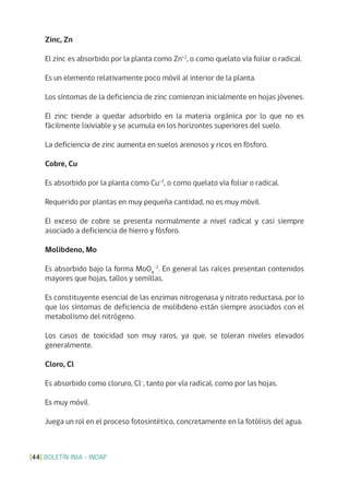 BOLETÍN INIA - INDAP[44]
Zinc, Zn
El zinc es absorbido por la planta como Zn+2
, o como quelato vía foliar o radical.
Es un elemento relativamente poco móvil al interior de la planta.
Los síntomas de la deficiencia de zinc comienzan inicialmente en hojas jóvenes.
El zinc tiende a quedar adsorbido en la materia orgánica por lo que no es
fácilmente lixiviable y se acumula en los horizontes superiores del suelo.
La deficiencia de zinc aumenta en suelos arenosos y ricos en fósforo.
Cobre, Cu
Es absorbido por la planta como Cu+2
, o como quelato vía foliar o radical.
Requerido por plantas en muy pequeña cantidad, no es muy móvil.
El exceso de cobre se presenta normalmente a nivel radical y casi siempre
asociado a deficiencia de hierro y fósforo.
Molibdeno, Mo
Es absorbido bajo la forma MoO4
-2
. En general las raíces presentan contenidos
mayores que hojas, tallos y semillas.
Es constituyente esencial de las enzimas nitrogenasa y nitrato reductasa, por lo
que los síntomas de deficiencia de molibdeno están siempre asociados con el
metabolismo del nitrógeno.
Los casos de toxicidad son muy raros, ya que, se toleran niveles elevados
generalmente.
Cloro, Cl
Es absorbido como cloruro, Cl-
, tanto por vía radical, como por las hojas.
Es muy móvil.
Juega un rol en el proceso fotosintético, concretamente en la fotólisis del agua.
 