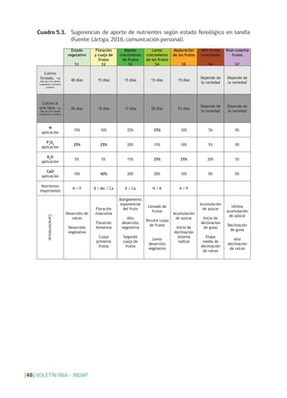 BOLETÍN INIA - INDAP[46]
Cuadro 5.3. Sugerencias de aporte de nutrientes según estado fenológico en sandía
(Fuente: Lártiga, 2016, comunicación personal).
Cuadro 5.3. Sugerencias de aporte de nutrientes según estado fenológico en
sandía (Fuente: Lártiga, 2016, comunicación personal).
Estado
vegetativo
S1
Floración
y cuaja de
frutos
S2
Rápido
crecimiento
de frutos
S3
Lento
crecimiento
de los frutos
S4
Maduración
de los frutos
S5
60% frutos
cosechados
S6
final cosecha
frutos
S7
Cultivo
forzado, 100
días de ciclo desde
trasplante a primera
cosecha
40 días 15 días 15 días 15 días 15 días
Depende de
la variedad
Depende de
la variedad
Cultivo al
aire libre, 125
días de ciclo desde
trasplante a cosecha
45 días 18 días 17 días 20 días 25 días
Depende de
la variedad
Depende de
la variedad
N
aplicación
15% 10% 25% 35% 10% 5% 0%
P2
O5
aplicación
25% 25% 20% 15% 10% 5% 0%
K2
O
aplicación
5% 5% 15% 25% 25% 20% 5%
CaO
aplicación
10% 40% 20% 20% 10% 0% 0%
Nutrientes
importantes
N / P B / Mo / Ca K / Ca N / K K / P
Características
Desarrollo de
raíces
Desarrollo
vegetativo
Floración
masculina
Floración
femenina
Cuaja
primeros
frutos
Alargamiento
exponencial
del fruto
Alto
desarrollo
vegetativo
Segunda
cuaja de
frutos
Llenado de
frutos
Tercera cuaja
de frutos
Lento
desarrollo
vegetativo
Acumulación
de azúcar
Inicio de
declinación
sistema
radical
Acumulación
de azúcar
Inicio de
declinación
de guías
Etapa
media de
declinación
de raíces
Ultima
acumulación
de azúcar
Declinación
de guías
Alta
declinación
de raíces
 