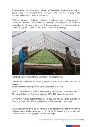 Manual de manejo agronómico para cultivo de sandía [49]
El invernadero debe estar localizado de tal forma de recibir la mayor cantidad
de luz solar y poseer altura mínima de 3 m, diseñado de tal manera que permita
una adecuada relación superficie/volumen.
Cubiertas térmicas, polietileno, mallas sombreadoras limpias y en buen estado.
Diseño de mesones soportantes de bandejas almacigueras, diseñados e
instalados de tal manera de permitir buen monitoreo del desarrollo de los
plantines, se pueda transitar fácilmente y revisar los speedling.
Sistema de calefacción instalado y operativo al hacer plantines para cultivo
forzado.
Ventilar bien durante el proceso de confección de plantines.
Utilizar contenedores, bandejas almacigueras limpias y de un volumen de 43 –
45 cc/cavidad como mínimo, bandejas de 104 a 135 cavidades/bandeja.
El volumen mínimo recomendado de la cavidad del speedling, permite un
adecuado desarrollo radical, que debe ser abundante y de color blanco.
Las cavidades o alvéolos de las bandejas almacigueras deben tener un orificio
de drenaje en el fondo que asegure la contención del sustrato y, a su vez, permita
la salida del exceso de agua por concepto de riego.
Figura 6.3. Invernadero destinado para la confección de plantines.
 