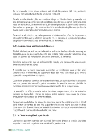 BOLETÍN INIA - INDAP[60]
Se recomienda como altura mínima del túnel 0,6 metros (60 cm), pudiendo
trabajar con una altura de hasta un metro (100 cm).
Para la instalación del plástico conviene elegir un día sin viento y soleado, una
alta temperatura permite que el polietileno quede tenso, por el contrario, si se
hace en horas frías, al momento de subir la temperatura el polietileno tiende a
formar bolsas y arrugas. No se recomienda la instalación de plásticos en días de
lluvia, pues se complica la manipulación del mismo.
Para estirar el plástico, se debe prevenir el daño con las uñas de las manos u
otros elementos que se utilicen para este fin. El estirado o tensión longitudinal
del plástico debe realizarse en tramos de 2 a 3 metros.
6.2.1.3. Aireación o ventilación de túneles
Al abrir el túnel para airear, se debe evitar enfrentar la dirección del viento y, es
deseable, pero no necesario, hacerlo por el lado más soleado y abriendo muy
poco los puntos de ventilación, distantes entres sí 2 a 3 metros.
Conviene evitar, más que un enfriamiento rápido, una desecación violenta del
ambiente interior del túnel.
A medida que se hace necesario aumentar la ventilación, para evitar altas
temperaturas o humedad, la vigilancia debe ser más cuidadosa, para que la
operación sea paulatina, no rápida.
Cuando se pretende ventilar para quitar humedad, un buen camino es disponer
muchos puntos de aireación, pero pequeños. La ventilación con pérdida de
humedad ambiente siempre origina una disminución de la temperatura.
La aireación no sólo pretende evitar las altas temperaturas, sino también los
excesos de humedad. Como es lógico, estos excesos son causa de menor
producción y desarrollo de enfermedades.
Después de cada labor de aireación conviene cerrar herméticamente el túnel,
para evitar corrientes de aire frío y guardar durante la noche el calor recibido
durante el día. Buenas horas para cerrar los túneles son las primeras de la tarde
(16:30 horas), cuando el sol aún brilla y da calor.
6.2.1.4. Túneles de plástico perforado
Los túneles pueden cubrirse con plástico perforado, gracias a lo cual se puede
espaciar o suprimir la práctica de ventilación ya descrita.
 