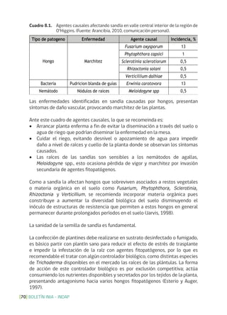 BOLETÍN INIA - INDAP[70]
Las enfermedades identificadas en sandía causadas por hongos, presentan
síntomas de daño vascular, provocando marchitez de las plantas.
Ante este cuadro de agentes causales, lo que se recomeinda es:
•	 Arrancar planta enferma a fin de evitar la diseminación a través del suelo o
agua de riego que podrían diseminar la enfermedad en la mesa.
•	 Cuidar el riego, evitando desnivel o apozamiento de agua para impedir
daño a nivel de raíces y cuello de la planta donde se observan los síntomas
causados.
•	 Las raíces de las sandías son sensibles a los nemátodos de agallas,
Meloidogyne spp., esto ocasiona pérdida de vigor y marchitez por invasión
secundaria de agentes fitopatógenos.
Como a sandía la afectan hongos que sobreviven asociados a restos vegetales
o materia orgánica en el suelo como Fusarium, Phytophthora, Sclerotinia,
Rhizoctonia y Verticillium, se recomienda incorporar materia orgánica pues
constribuye a aumentar la diversidad biológica del suelo disminuyendo el
inóculo de estructuras de resistencia que permiten a estos hongos en general
permanecer durante prolongados períodos en el suelo (Jarvis, 1998).
La sanidad de la semilla de sandía es fundamental.
La confección de plantines debe realizarse en sustrato desinfectado o fumigado,
es básico partir con plantín sano para reducir el efecto de estrés de trasplante
e impedir la infestación de la raíz con agentes fitopatógenos, por lo que es
recomendable el tratar con algún controlador biológico, como distintas especies
de Trichoderma disponibles en el mercado las raíces de las plántulas. La forma
de acción de este controlador biológico es por exclusión competitiva; actúa
consumiendo los nutrientes disponibles y secretados por los tejidos de la planta,
presentando antagonismo hacia varios hongos fitopatógenos (Esterio y Auger,
1997).
Cuadro 8.1. Agentes causales afectando sandía en valle central interior de la región de
O’Higgins. (Fuente: Arancibia, 2010, comunicación personal).
 