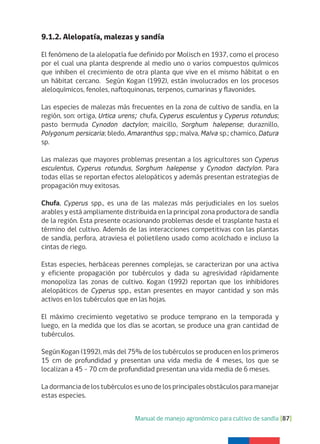 Manual de manejo agronómico para cultivo de sandía [87]
9.1.2. Alelopatía, malezas y sandía
El fenómeno de la alelopatía fue definido por Molisch en 1937, como el proceso
por el cual una planta desprende al medio uno o varios compuestos químicos
que inhiben el crecimiento de otra planta que vive en el mismo hábitat o en
un hábitat cercano. Según Kogan (1992), están involucrados en los procesos
aleloquímicos, fenoles, naftoquinonas, terpenos, cumarinas y flavonides.
Las especies de malezas más frecuentes en la zona de cultivo de sandía, en la
región, son: ortiga, Urtica urens; chufa, Cyperus esculentus y Cyperus rotundus;
pasto bermuda Cynodon dactylon; maicillo, Sorghum halepense; duraznillo,
Polygonum persicaria; bledo, Amaranthus spp.; malva, Malva sp.; chamico, Datura
sp.
Las malezas que mayores problemas presentan a los agricultores son Cyperus
esculentus, Cyperus rotundus, Sorghum halepense y Cynodon dactylon. Para
todas ellas se reportan efectos alelopáticos y además presentan estrategias de
propagación muy exitosas.
Chufa, Cyperus spp., es una de las malezas más perjudiciales en los suelos
arables y está ampliamente distribuida en la principal zona productora de sandía
de la región. Esta presente ocasionando problemas desde el trasplante hasta el
término del cultivo. Además de las interacciones competitivas con las plantas
de sandía, perfora, atraviesa el polietileno usado como acolchado e incluso la
cintas de riego.
Estas especies, herbáceas perennes complejas, se caracterizan por una activa
y eficiente propagación por tubérculos y dada su agresividad rápidamente
monopoliza las zonas de cultivo. Kogan (1992) reportan que los inhibidores
alelopáticos de Cyperus spp., estan presentes en mayor cantidad y son más
activos en los tubérculos que en las hojas.
El máximo crecimiento vegetativo se produce temprano en la temporada y
luego, en la medida que los días se acortan, se produce una gran cantidad de
tubérculos.
Según Kogan (1992), más del 75% de los tubérculos se producen en los primeros
15 cm de profundidad y presentan una vida media de 4 meses, los que se
localizan a 45 - 70 cm de profundidad presentan una vida media de 6 meses.
La dormancia de los tubérculos es uno de los principales obstáculos para manejar
estas especies.
 