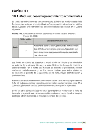 Manual de manejo agronómico para cultivo de sandía [89]
CAPÍTULO X
10.1.Madurez,cosechayrendimientoscomerciales
La sandía es un fruto que se consume maduro, el índice de madurez esta dado
fundamentalmente por el contenido de azúcares, medido a través de los sólidos
solubles, grados Brix y otra serie de características que se señalan en el Cuadro
siguiente.
Los frutos de sandía se cosechan a mano dado su tamaño y su condición
de externa de la cáscara (tierna y se daña fácilmente durante la cosecha y
acondicionado). Por lo tanto los manejos de cosecha y postcosecha deben
realizarse cuidadosamente y ser los menos posibles para evitar daños en
la epidermis y pérdida de la apariencia de la fruta, mayor deshidratación y
podredumbres.
Para un buen resultado económico del cultivo deben cosecharse por planta entre
1,2 a 1,7 frutos con calidad y condición comercial en plantas francas y entre 2,5 a
3,0 frutos/planta con calidad y condición comercial en plantas injertadas.
Dadas las otras características descritas para identificar madurez en el fruto de
la sandía, una práctica de campo razonable es el correcto uso de refractómetro
calibrado y bien mantenido al iniciarse el período de cosecha.
Cuadro 10.1. Características del fruto y contenido de sólidos solubles en sandía.
(Fuente: Gil, 2001).
 