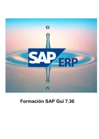 Formación SAP Gui 7.30
 
