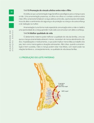 18
CADERNOSDE
ATENÇÃOBÁSICA
1.4.13 Promoção do vínculo afetivo entre mãe e filho
Acredita-se que a amamentação traga benefícios psicológicos para a criança e para
a mãe. Uma amamentação prazerosa, os olhos nos olhos e o contato contínuo entre
mãe e ﬁlho certamente fortalecem os laços afetivos entre eles, oportunizando intimidade,
troca de afeto e sentimentos de segurança e de proteção na criança e de autoconﬁança
e de realização na mulher.
Amamentação é uma forma muito especial de comunicação entre a mãe e o bebê e
uma oportunidade de a criança aprender muito cedo a se comunicar com afeto e conﬁança.
1.4.14 Melhor qualidade de vida
O aleitamento materno pode melhorar a qualidade de vida das famílias, uma vez
que as crianças amamentadas adoecem menos, necessitam de menos atendimento mé-
dico, hospitalizações e medicamentos, o que pode implicar menos faltas ao trabalho dos
pais, bem como menos gastos e situações estressantes. Além disso, quando a amamen-
tação é bem sucedida, mães e crianças podem estar mais felizes, com repercussão nas
relações familiares e, conseqüentemente, na qualidade de vida dessas famílias.
1.5 PRODUÇÃO DO LEITE MATERNO
 