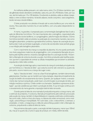 19
CADERNOSDE
ATENÇÃOBÁSICA
As mulheres adultas possuem, em cada mama, entre 15 e 25 lobos mamários, que
são glândulas túbulo-alveolares constituídas, cada uma, por 20 a 40 lóbulos. Estes, por sua
vez, são formados por 10 a 100 alvéolos. Envolvendo os alvéolos, estão as células mioepi-
teliais e, entre os lobos mamários, há tecido adiposo, tecido conjuntivo, vasos sangüíneos,
tecido nervoso e tecido linfático.
O leite produzido nos alvéolos é levado até os seios lactíferos por uma rede de
ductos. Para cada lobo mamário há um seio lactífero, com uma saída independente no
mamilo.
A mama, na gravidez, é preparada para a amamentação (lactogênese fase I) sob a
ação de diferentes hormônios. Os mais importantes são o estrogênio, responsável pela
ramiﬁcação dos ductos lactíferos, e o progestogênio, pela formação dos lóbulos. Outros
hormônios também estão envolvidos na aceleração do crescimento mamário, tais como
lactogênio placentário, prolactina e gonadotroﬁna coriônica. Apesar de a secreção de pro-
lactina estar muito aumentada na gestação, a mama não secreta leite nesse período graças
a sua inibição pelo lactogênio placentário.
Com o nascimento da criança e a expulsão da placenta, há uma queda acentuada
nos níveis sanguíneos maternos de progestogênio, com conseqüente liberação de pro-
lactina pela hipóﬁse anterior, iniciando a lactogênese fase II e a secreção do leite. Há tam-
bém a liberação de ocitocina durante a sucção, hormônio produzido pela hipóﬁse poste-
rior, que tem a capacidade de contrair as células mioepiteliais que envolvem os alvéolos,
expulsando o leite neles contido.
A produção do leite logo após o nascimento da criança é controlada principalmente
por hormônios e a “descida do leite”, que costuma ocorrer até o terceiro ou quarto dia
pós-parto, ocorre mesmo se a criança não sugar o seio.
Após a “descida do leite”, inicia-se a fase III da lactogênese, também denominada
galactopoiese. Essa fase, que se mantém por toda a lactação, depende principalmente da
sucção do bebê e do esvaziamento da mama. Quando, por qualquer motivo, o esvazia-
mento das mamas é prejudicado, pode haver uma diminuição na produção do leite, por
inibição mecânica e química. O leite contém os chamados “peptídeos supressores da lac-
tação”, que são substâncias que inibem a produção do leite. A sua remoção contínua com
o esvaziamento da mama garante a reposição total do leite removido.
Grande parte do leite de uma mamada é produzida enquanto a criança mama, sob
o estímulo da prolactina. A ocitocina, liberada principalmente pelo estímulo provocado
pela sucção da criança, também é disponibilizada em resposta a estímulos condicionados,
tais como visão, cheiro e choro da criança, e a fatores de ordem emocional, como moti-
vação, autoconﬁança e tranqüilidade. Por outro lado, a dor, o desconforto, o estresse, a
ansiedade, o medo, a insegurança e a falta de autoconﬁança podem inibir a liberação da
ocitocina, prejudicando a saída do leite da mama.
Nos primeiros dias após o parto, a secreção de leite é pequena, menor que 100ml/
dia, mas já no quarto dia a nutriz é capaz de produzir, em média, 600ml de leite.
 