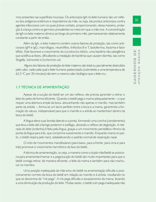 21
CADERNOSDE
ATENÇÃOBÁSICA
mos presentes nas superfícies mucosas. Os anticorpos IgA no leite humano são um reﬂe-
xo dos antígenos entéricos e respiratórios da mãe, ou seja, ela produz anticorpos contra
agentes infecciosos com os quais já teve contato, proporcionando, dessa maneira, prote-
ção à criança contra os germens prevalentes no meio em que a mãe vive. A concentração
de IgA no leite materno diminui ao longo do primeiro mês, permanecendo relativamente
constante a partir de então.
Além da IgA, o leite materno contém outros fatores de proteção, tais como anti-
corpos IgM e IgG, macrófagos, neutróﬁlos, linfócitos B e T, lactoferrina, lisosima e fator
bíﬁdo. Este favorece o crescimento do Lactobacilus biﬁdus, uma bactéria não patogênica
que acidiﬁca as fezes, diﬁcultando a instalação de bactérias que causam diarréia, tais como
Shigella, Salmonella e Escherichia coli.
Alguns dos fatores de proteção do leite materno são total ou parcialmente destruídos
pelo calor, razão pela qual o leite humano pasteurizado (submetido a uma temperatura de
62,5 o
C por 30 minutos) não tem o mesmo valor biológico que o leite cru.
1.7 TÉCNICA DE AMAMENTAÇÃO
Apesar de a sucção do bebê ser um ato reﬂexo, ele precisa aprender a retirar o
leite do peito de forma eﬁciente. Quando o bebê pega a mama adequadamente – o que
requer uma abertura ampla da boca, abocanhando não apenas o mamilo, mas também
parte da aréola –, forma-se um lacre perfeito entre a boca e a mama, garantindo a for-
mação do vácuo, indispensável para que o mamilo e a aréola se mantenham dentro da
boca do bebê.
A língua eleva suas bordas laterais e a ponta, formando uma concha (canolamento)
que leva o leite até a faringe posterior e esôfago, ativando o reﬂexo de deglutição. A reti-
rada do leite (ordenha) é feita pela língua, graças a um movimento peristáltico rítmico da
ponta da língua para trás, que comprime suavemente o mamilo. Enquanto mama no pei-
to, o bebê respira pelo nariz, estabelecendo o padrão normal de respiração nasal.
O ciclo de movimentos mandibulares (para baixo, para a frente, para cima e para
trás) promove o crescimento harmônico da face do bebê.
A técnica de amamentação, ou seja, a maneira como a dupla mãe/bebê se posicio-
na para amamentar/mamar e a pega/sucção do bebê são muito importantes para que o
bebê consiga retirar, de maneira eﬁciente, o leite da mama e também para não machu-
car os mamilos.
Uma posição inadequada da mãe e/ou do bebê na amamentação diﬁculta o posi-
cionamento correto da boca do bebê em relação ao mamilo e à aréola, resultando no
que se denomina de “má pega”. A má pega diﬁculta o esvaziamento da mama, levando
a uma diminuição da produção do leite. Muitas vezes, o bebê com pega inadequada não
 