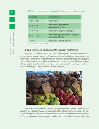 80
CADERNOSDE
ATENÇÃOBÁSICA
Tabela 3 – Esquema para introdução dos alimentos complementares
Faixa etária Tipo de alimento
Até o 6º mês Leite materno
6º ao 7º mês
Leite materno, papa de fruta,
papa salgada, ovo, carne
7º ao 8º mês Leite materno, segunda papa salgada
9º ao 11º mês
Leite materno, gradativamente passar para
alimentação da família
12º mês Leite materno, comida da família
Fonte: Sociedade Brasileira de Pediatria, (2006)
2.4.2.3 Alimentação variada: garantir os grupos de alimentos
A garantia do suprimento adequado de nutrientes para o crescimento e desenvol-
vimento da criança após o sexto mês depende da disponibilidade de nutrientes no leite
materno e na alimentação complementar. Ao orientar o planejamento da alimentação da
criança, deve-se procurar respeitar os hábitos alimentares e as características socioeco-
nômicas e culturais da família, bem como priorizar a oferta de alimentos regionais, levan-
do em consideração a disponibilidade local de alimentos.
A espécie humana necessita de dieta variada para garantir a nutrição adequada, pois
os nutrientes estão distribuídos em quantidades diferentes nos alimentos. Estes são clas-
siﬁcados em grupos, de acordo com o nutriente que se apresenta em maior quantida-
de. Os que pertencem ao mesmo grupo podem ser fontes de diferentes nutrientes. Por
 