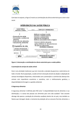14
Com base no exposto, a Figura 2 mostra as contribuições da ciência veterinária para o bem-estar
social.
Figura 2. Intervenção e contribuição da ciência veterinária para a saúde pública
A promoção de serviços de saúde animal
Esta é uma atividade tradicional, que tem merecido a atenção de governos e veterinários em
todo o mundo. Numa população, a saúde animal é alcançada através da adoção e adaptação de
avanços tecnológicos disponíveis, relacionados com a prevenção e o controlo das doenças dos
animais com importância económica e zoonótica, com o melhoramento genético, a
disponibilidade de forragem e a gestão ambiental.
A Segurança alimentar
A segurança alimentar é definida pela FAO como "a disponibilidade local de alimentos e sua
distribuição, e o acesso das pessoas aos alimentos para uma vida saudável." Este conceito
abrange não apenas a produção de alimentos saudáveis dentro de um país, mas também os
fatores que interagem desde o momento da produção até ao consumo final dos alimentos: a
 