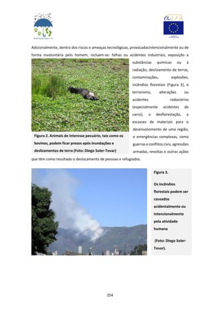 254
Adicionalmente, dentro dos riscos e ameaças tecnológicas, provocadasintencionalmente ou de
forma involuntária pelo homem, incluem-se: falhas ou acidentes industriais, exposição a
substâncias químicas ou à
radiação, deslizamento da terras,
contaminações, explosões,
incêndios florestais (Figura 3), o
terrorismo, alterações ou
acidentes rodoviários
(especialmente acidentes de
carro), a desflorestação, a
escassez de materiais para o
desenvolvimento de uma região,
e emergências complexas, como
guerras e conflitos civis,agressões
armadas, revoltas e outras ações
que têm como resultado o deslocamento de pessoas e refugiados.
Figura 2. Animais de interesse pecuário, tais como os
bovinos, podem ficar presos após inundações e
deslizamentos de terra (Foto: Diego Soler-Tovar)
Figura 3.
Os incêndios
florestais podem ser
causados
acidentalmente ou
intencionalmente
pela atividade
humana
(Foto: Diego Soler-
Tovar).
 