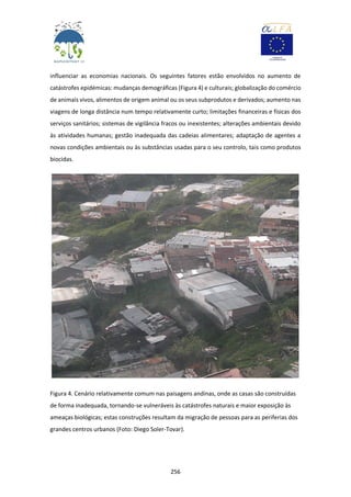 256
influenciar as economias nacionais. Os seguintes fatores estão envolvidos no aumento de
catástrofes epidémicas: mudanças demográficas (Figura 4) e culturais; globalização do comércio
de animais vivos, alimentos de origem animal ou os seus subprodutos e derivados; aumento nas
viagens de longa distância num tempo relativamente curto; limitações financeiras e físicas dos
serviços sanitários; sistemas de vigilância fracos ou inexistentes; alterações ambientais devido
às atividades humanas; gestão inadequada das cadeias alimentares; adaptação de agentes a
novas condições ambientais ou às substâncias usadas para o seu controlo, tais como produtos
biocidas.
Figura 4. Cenário relativamente comum nas paisagens andinas, onde as casas são construídas
de forma inadequada, tornando-se vulneráveis às catástrofes naturais e maior exposição às
ameaças biológicas; estas construções resultam da migração de pessoas para as periferias dos
grandes centros urbanos (Foto: Diego Soler-Tovar).
 