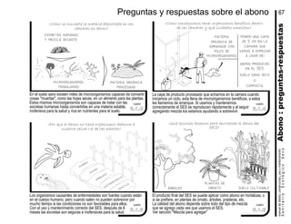 En el suelo sano existen miles de microorganismos capaces de convertir
cosas "muertas", como las hojas secas, en un alimento para las plantas.
Estos mismos microorganismos son capaces de tratar con las
excretas humanas hasta convertirlas en una materia estable,
inofensiva para la salud y rica en nutrientes para el suelo.
Los organismos causantes de enfermedades son fuertes cuando están
en el cuerpo humano, pero cuando salen no pueden sobrevivir por
mucho tiempo si las condiciones no son favorables para ellos.
Con el uso y mantenimiento correcto del SES, después de 6
meses las excretas son seguras e inofensivas para la salud.
La capa de producto procesado que echamos en la cámara cuando
iniciamos un ciclo, esta llena de microorganismos benéficos, a estos
les llamamos de arranque. Si usamos y mantenemos
correctamente el SES se reproducen rápidamente y al seguir
agregando mezcla los estamos ayudando a sobrevivir.
El producto final del SES se puede aplicar como abono en hortalizas, o
si se prefiere, en plantas de ornato, árboles, praderas, etc.
La calidad del abono depende sobre todo del tipo de mezcla
que se agrego cada ves que usamos el SES.
Ver sección "Mezcla para agregar"
Abono:preguntas-respuestas
¿Cómo se convierte la materia depositada en las
cámaras en abono?
¿Cómo conseguimos tener organismos beneficos dentro
de las cámaras y qué cuidados necesitan?
¿Qué opciones tenemos para aprovechar el abono del
SES?
¿Por que el abono no tiene organismos dañinos a
nuestra salud o el de las plantas?
67
microorganismos
trabajando
materia orgánica
procesada
excretas humanas
y mezcla secante
materia
orgánica de
arranque con
miles de
microorganismos
abono producido
en el SES
o
poner una capa
de 5 cm en la
cámara que
vamos a empezar
a usar de:
plantas de
ornatoárboles suelo cultivable
Preguntas y respuestas sobre el abono
suelo sano seco
composta
diarrea
colera
amebiasis
hepatitis
gastroenteritis
manualdediseńo,construcción,usoymantenimiento
SanitarioEcológicoSeco
6.1.3
cuadro
6.1.5
cuadro
6.1.6
cuadro
6.1.4
cuadro
 