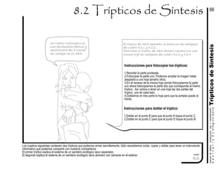 Los cuadros siguientes contienen dos trípticos que podemos armar sencillamente. Sólo necesitamos cortar, copiar y doblar para tener un instrumento
informativo que podemos compartir con nuestros compañeros.
El primer tríptico explica el sistema de un sanitario ecológico seco separador.
El segundo explica el sistema de un sanitario ecológico seco abonero con cámaras en el exterior.
El tríptico del SES separador se arma con las imágenes
del cuadro 8.2.1 y 8.2.2.
Para hacer el tríptico del SES abonero copiamos en una
misma hoja las imágenes del cuadro 8.2.3 y 8.2.4
8.2
cuadro
SanitarioEcológicoSeco
manualdediseńo,construcción,usoymantenimiento
88
Instrucciones para fotocopiar los trípticos:
1.Recortar la parte punteada.
2.Fotocopiar la parte uno. Podemos ampliar la imagen hasta
adaptarla a una hoja tamaño oficio.
3.En el reverso de la misma hoja donde fotocopiamos la parte
uno ahora fotocopiamos la parte dos que corresponda al mismo
tríptico. Así vamos a tener en una hoja las dos partes del
tríptico, una de cada lado.
4.Doblamos en tres parte la hoja para que la portada quede al
frente.
Instrucciones para doblar el tríptico:
1.Doblar en el punto B para que el punto A toque el punto C.
2.Doblar en el punto C para que el punto D toque el punto B.
Un tríptíco informativo es
una herramienta efectiva y
sencilla para dar a conocer
las ventajas de los SES.
TrípticosdeSíntesis
 
