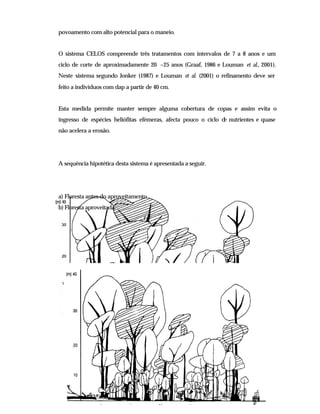 - 108 -
povoamento com alto potencial para o maneio.
O sistema CELOS compreende três tratamentos com intervalos de 7 a 8 anos e um
ciclo de corte de aproximadamente 20 –25 anos (Graaf, 1986 e Louman et al., 2001).
Neste sistema segundo Jonker (1987) e Louman et al. (2001) o refinamento deve ser
feito a indivíduos com dap a partir de 40 cm.
Esta medida permite manter sempre alguma cobertura de copas e assim evita o
ingresso de espécies heliófitas efémeras, afecta pouco o ciclo d
e nutrientes e quase
não acelera a erosão.
A sequência hipotética desta sistema é apresentada a seguir.
a) Floresta antes do aproveitamento
b) Floresta aproveitada
(m) 40
 