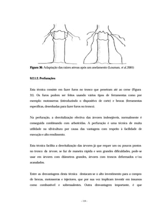 - 118 -
Figura 30. Adaptação das raízes aéreas após um anelamento (Louman, et al.,2001)
9.2.1.2. Perfurações
Esta técnica consiste em fazer furos no tronco que penetram até ao cerne (Figura
31). Os furos podem ser feitos usando vários tipos de ferramentas como por
exemplo: motosserras (introduzindo o dispositivo de corte) e brocas (ferramentas
específicas, desenhadas para fazer furos no tronco).
Na perfuração, a desvitalização efectiva das árvores indesejáveis, normalmente é
conseguida combinando com arboricidas. A perfuração é uma técnica de muita
utilidade na silvicultura por causa das vantagens com respeito à facilidade de
execução e alto rendimento.
Esta técnica facilita a desvitalização das árvores já que requer um ou poucos pontos
no tronco da árvore, se faz de maneira rápida e sem grandes dificuldades, pode-se
usar em árvores com diâmetros grandes, árvores com troncos deformados e/ou
acanalados.
Entre as desvantagens desta técnica destacam-se o alto investimento para a compra
de brocas, motosserras e injectores, que por sua vez implicam investir em insumos
como combustível e sobressalentes. Outra desvantagem importante, é que
 