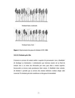 - 12 -
Desbaste baixo, moderado
Desbaste baixo, forte
Figura 1.. Representação dos graus de desbaste (GTZ, 1986)
3.3.1.2.2. Desbaste pelo Alto
Cortam-se as árvores do estrato médio a superior do povoamento, com a finalidade
de desafogar as dominantes e codominantes que interessa manter até ao final da
rotação, isto é, os cortes são efectuados por cima, para abrir o estrato superior,
favorecendo as árvores mais promissoras deste estrato. A finalidade deste método
de desbaste é permitir que as árvores dos estratos inferiores venham atingir valor
comercial. No desbaste pelo alto consideram-se dois graus de intensidade:
 