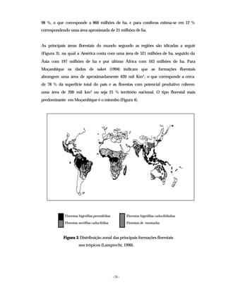 - 24 -
98 %, o que corresponde a 860 milhões de ha, e para coníferas estima-se em 12 %
correspondendo uma área aproximada de 21 milhões de ha.
As principais áreas florestais do mundo segundo as regiões são idicadas a seguir
(Figura 3), na qual a América conta com uma área de 521 milhões de ha, seguido da
Ásia com 197 milhões de ha e por último África com 163 milhões de ha. Para
Moçambique os dados de saket (1994) indicam que as formações florestais
abrangem uma área de aproximadamente 620 mil Km2, o que corresponde a cerca
de 78 % da superfície total do país e as florestas com potencial produtivo cobrem
uma área de 200 mil km2 ou seja 25 % território nacional. O tipo florestal mais
predominante em Moçambique é o miombo (Figura 4).
Florestas higrófilas perenifólias Florestas higrófilas caducifólialias
Florestas xerófilas caducifólias Florestas de montanha
Figura 3. Distribuição zonal das principais formações florestais
nos trópicos (Lamprecht, 1990).
 