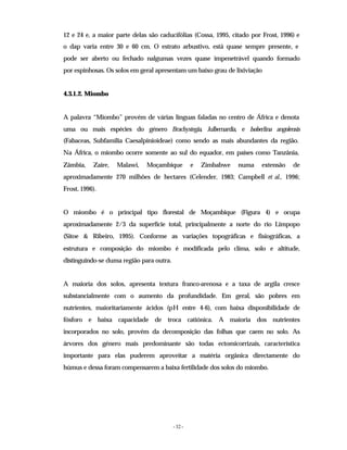 - 32 -
12 e 24 e, a maior parte delas são caducifólias (Cossa, 1995, citado por Frost, 1996) e
o dap varia entre 30 e 60 cm. O estrato arbustivo, está quase sempre presente, e
pode ser aberto ou fechado nalgumas vezes quase impenetrável quando formado
por espinhosas. Os solos em geral apresentam um baixo grau de lixiviação
4.3.1.2. Miombo
A palavra “Miombo” provém de várias línguas faladas no centro de África e denota
uma ou mais espécies do género Brachystegia, Julbernardia, e Isoberlina angolensis
(Fabaceas, Subfamilia Caesalpinioideae) como sendo as mais abundantes da região.
Na África, o miombo ocorre somente ao sul do equador, em países como Tanzânia,
Zâmbia, Zaire, Malawi, Moçambique e Zimbabwe numa extensão de
aproximadamente 270 milhões de hectares (Celender, 1983; Campbell et al., 1996;
Frost, 1996).
O miombo é o principal tipo florestal de Moçambique (Figura 4) e ocupa
aproximadamente 2/3 da superfície total, principalmente a norte do rio Limpopo
(Sitoe & Ribeiro, 1995). Conforme as variações topográficas e fisiográficas, a
estrutura e composição do miombo é modificada pelo clima, solo e altitude,
distinguindo-se duma região para outra.
A maioria dos solos, apresenta textura franco-arenosa e a taxa de argila cresce
substancialmente com o aumento da profundidade. Em geral, são pobres em
nutrientes, maioritariamente ácidos (pH entre 4-6), com baixa disponibilidade de
fósforo e baixa capacidade de troca catiónica. A maioria dos nutrientes
incorporados no solo, provém da decomposição das folhas que caem no solo. As
árvores dos género mais predominante são todas ectomicorrizais, característica
importante para elas puderem aproveitar a matéria orgânica directamente do
húmus e dessa foram compensarem a baixa fertilidade dos solos do miombo.
 