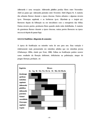 - 40 -
Julbernardia é uma excepção. Julbernardia globiflora produz flores entre Novembro-
Abril ao passo que Jubernardia paniculata entre Fevereiro- Abril (Figura 9). A maioria
dos arbustos floresce durante a época chuvosa. Outros arbustos e algumas árvores
(p.ex. Pterocarpus angolensis), e as herbáceas (p.ex. Rhynchosia sp. e insignis sp.),
florescem depois da folheação ou em simultâneo com a emergência das folhas.
Outras árvores porém, produzem flores quando ainda estão desfolhadas. A maioria
da gramíneas floresce durante a época chuvosa, outras porém florescem na época
seca ou só depois de passar fogo.
4.3.1.2.4. Frutificão e dispersão de sementes
A época de frutificação no miombo varia de ano para ano. Essa variação é
relativamente mais pronunciada em miombos adultos que em miombos jovens
(Chidumayo 1993a, citado por Frost, 1996). Falhas na frutificação podem ocorrer
como resultado da floração deficiente, deficiências na polinização, ataque de
pragas/doenças, predação , etc
Espécies Meses
Ju Ag Se Ou No De Ja Fe Ma Ab Ma Ju
Brachistegia
spiciforme
Isoberlinia
angolensis
Julbernardia
globliflora
Julbernardia
paniculata
Parinari
curatellifolia
Pterocarpus
angolensis
Uapaka
 