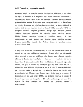 - 45 -
4.4.1.3. Composição e estrutura dos mangais
Dentro do mangal, as condições edáficas, a duração das inundações, o teor salino
da água, a dinâmica e a frequência das marés sobretudo, determinam a
composição da floresta. Vezes há, em que o mangal é composto por uma ou muito
poucas espécies, noutras, ela apresenta uma composição mais rica e diversificada.
As espécies do mangal são heliófitas (Lamprecht, 1990). Na África Ocidental, as
espécies mais comuns segundo Semesi e Howell (1985); Lamprecht (1990) são:
Rhizophora mucronata, Bruguiera gymnorrhiza, Ceriops tagal, Xilocarpus granatum,
Xilocarpus muluccensis, sonerratia alba, Avicennia marina, Avicennia officinales,
Heritiera littorales, Lumnitzera racemosa e Acrostichum aureum. Na costa
moçambicana, as mais comuns são: Avicennia marina, Rhizophora mucronata,
Bruguiera gymnorrhiza, sonerratia alba, Heritiera littorales, e Lumnitzera recemosa
(Saket e Matusse, 1994).
A Figura 10, mostra de forma esquemática o perfil da composição florística do
mangal, do mar para a plataforma continental. Devesse referir, que este modelo
não é universal e, pode ser modificado pelos factores atrás referidos (condições
edáficas, a duração das inundações, a dinâmica e a frequência das marés,
temperatura da água, sedimentação, clima etc.). O número 1, representa o primeiro
cinturão, no qual o número de inundações por ano varia entre 240-730, a
salinidade é quase constante e igual ao do mar e, as espécies mais predominantes
são: Avicennia marina e soneratia alba. No segundo cinturão as espécies mais
predominantes são Rhizophora spp., Bruguiera spp. e Ceriops tagal e, o número de
inundações por ano varia entre 120-230. Nos restantes cinturões, o número de
inundações por ano não é superior a 110 e, são dominadas por espécies várias
espécies tais como, Xilocarpus spp., Lumnitzera spp., Laguncularia racemosa, e
Conocarpus erecta.
 
