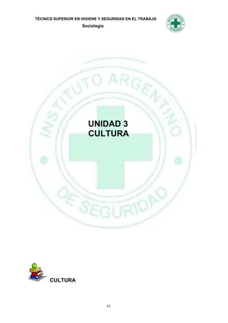 TÉCNICO SUPERIOR EN HIGIENE Y SEGURIDAD EN EL TRABAJO
                    Sociología




                       UNIDAD 3
                       CULTURA




      CULTURA



                                 43
 